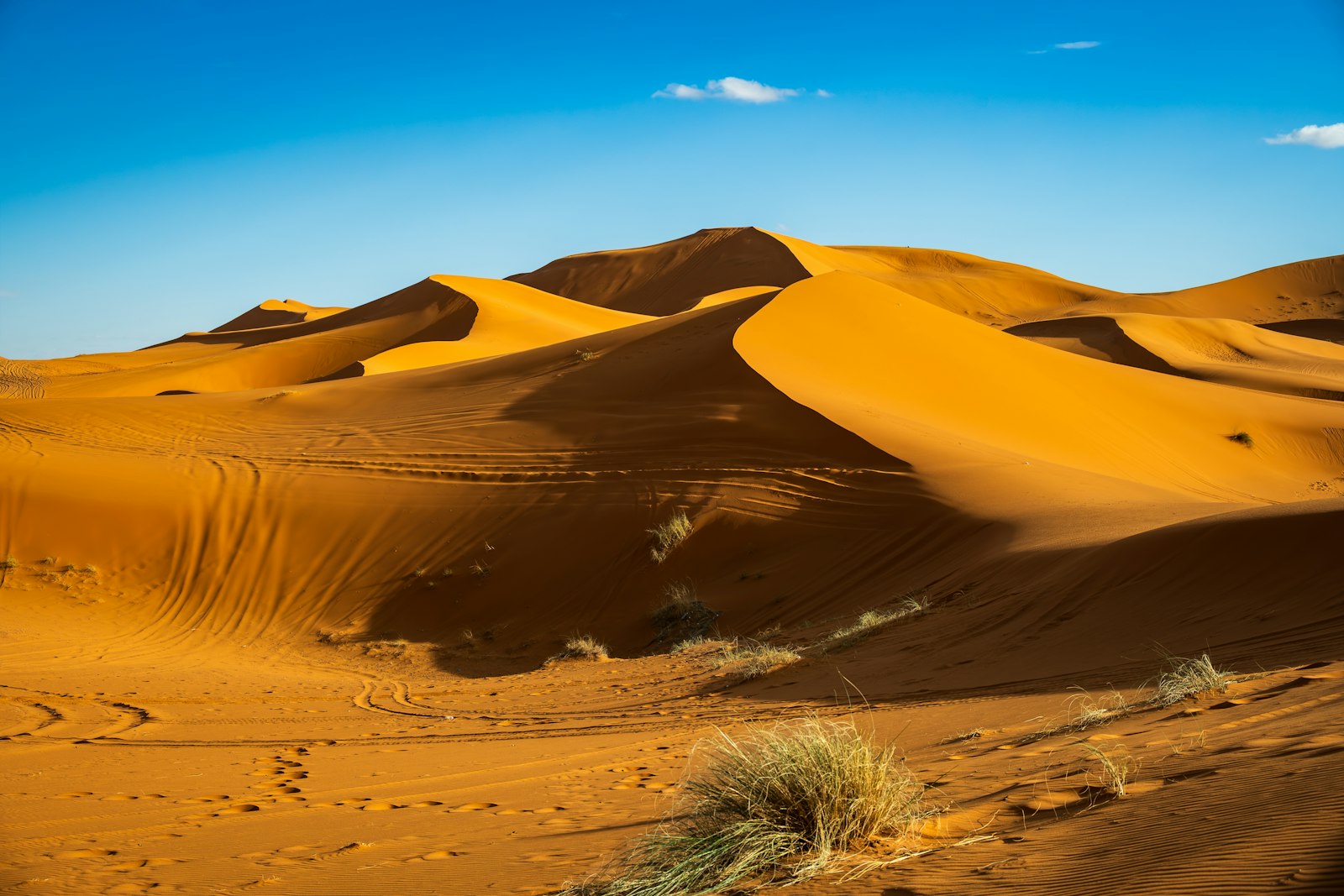 A spectacular journey through Morocco: From the Atlas to the Sahara