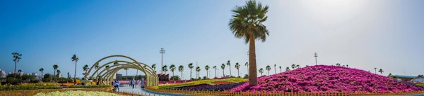 3 Nights from Jeddah to Yanbu