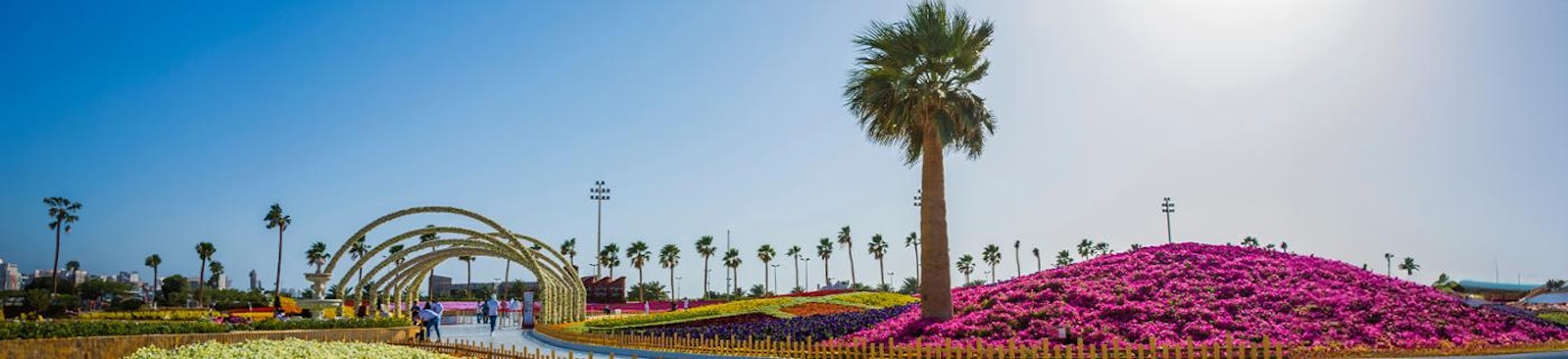 3 Nights from Jeddah to Yanbu
