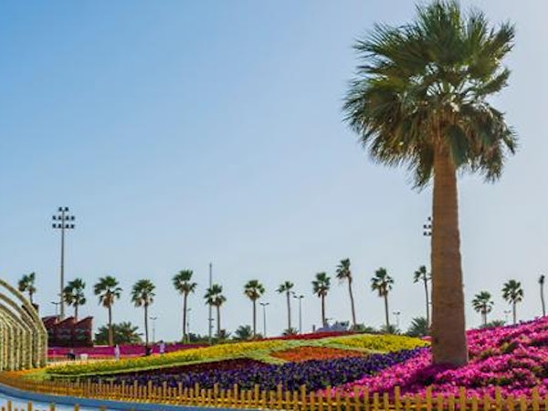 3 Nights from Jeddah to Yanbu