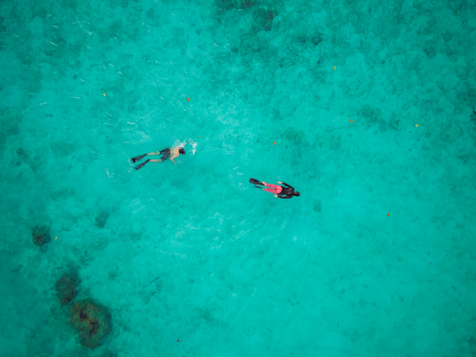 Snorkelling in the Maldives
