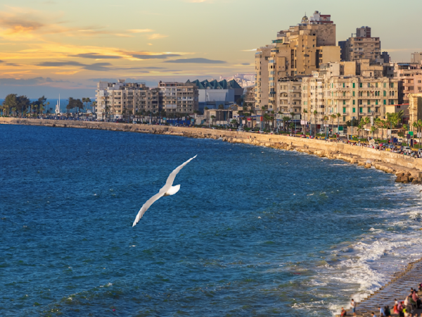 4 Nights from Alexandria to Istanbul