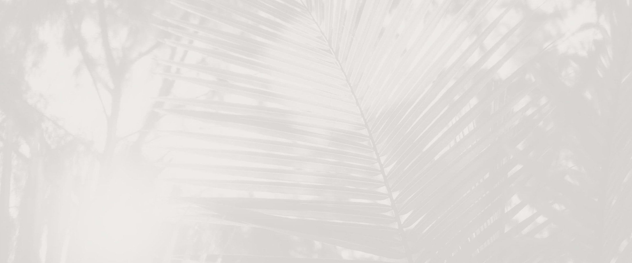 Banner media