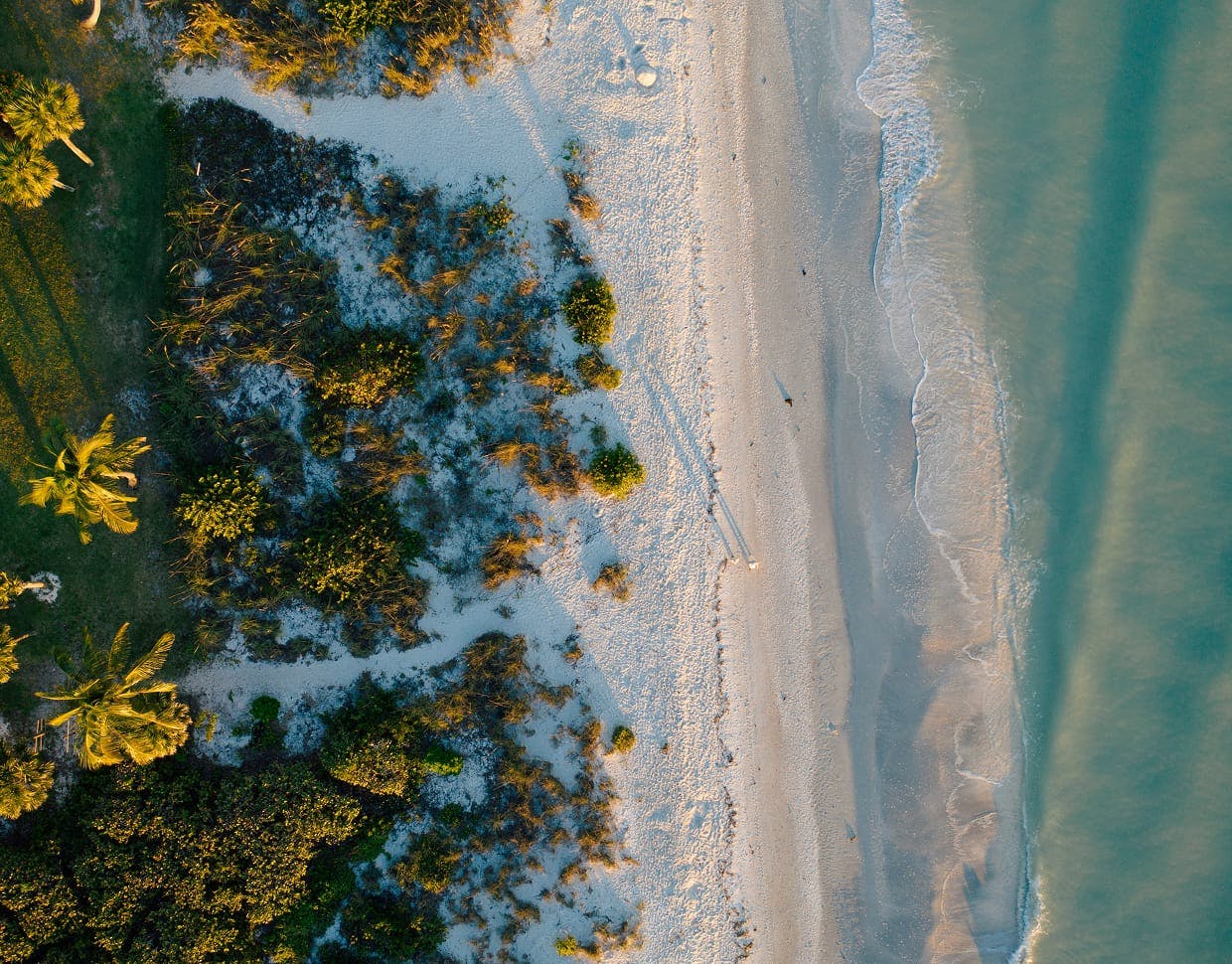beach