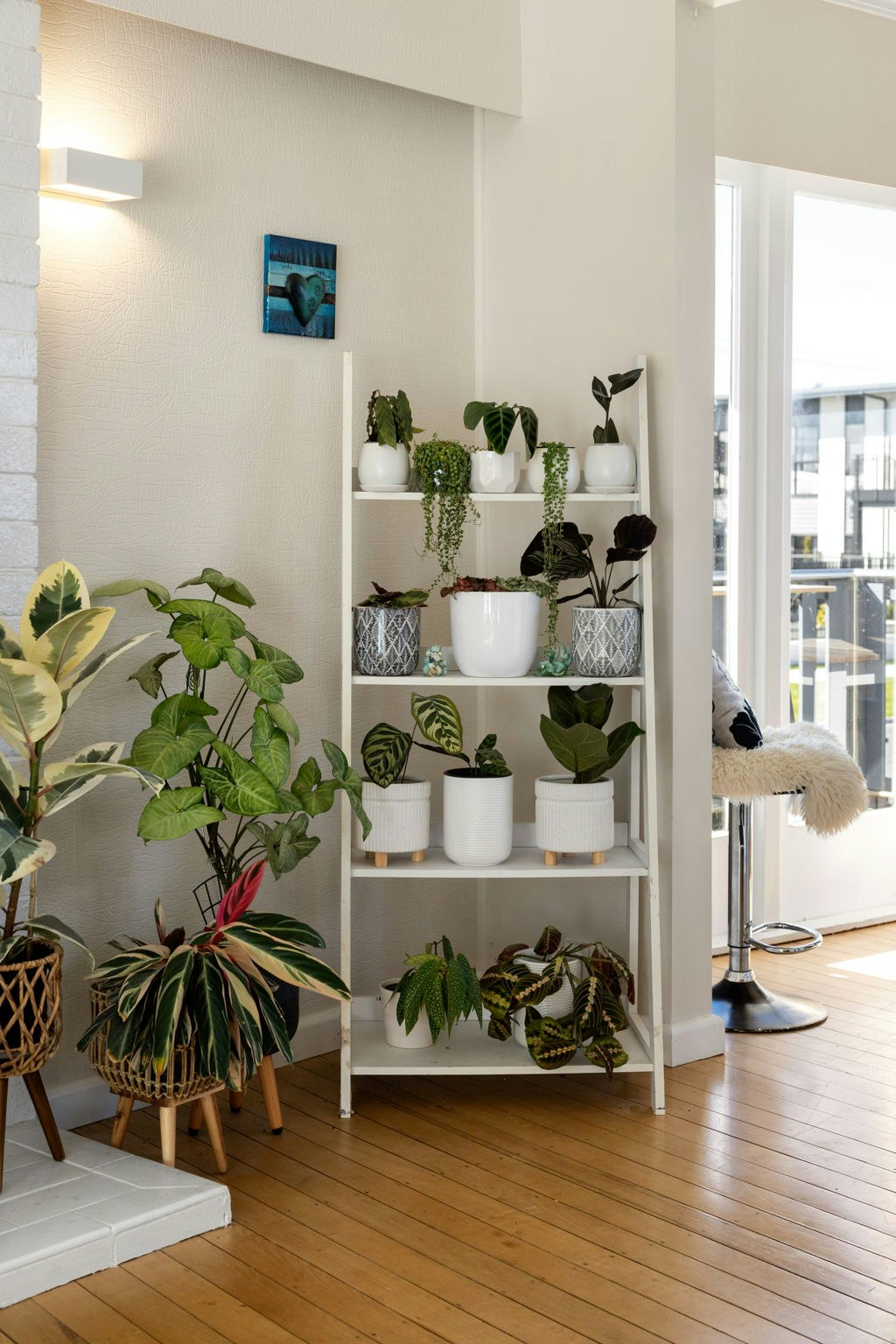 plant