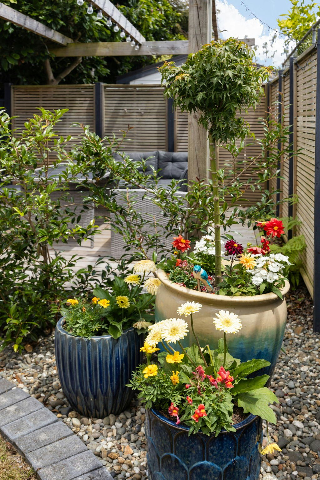 potted plant