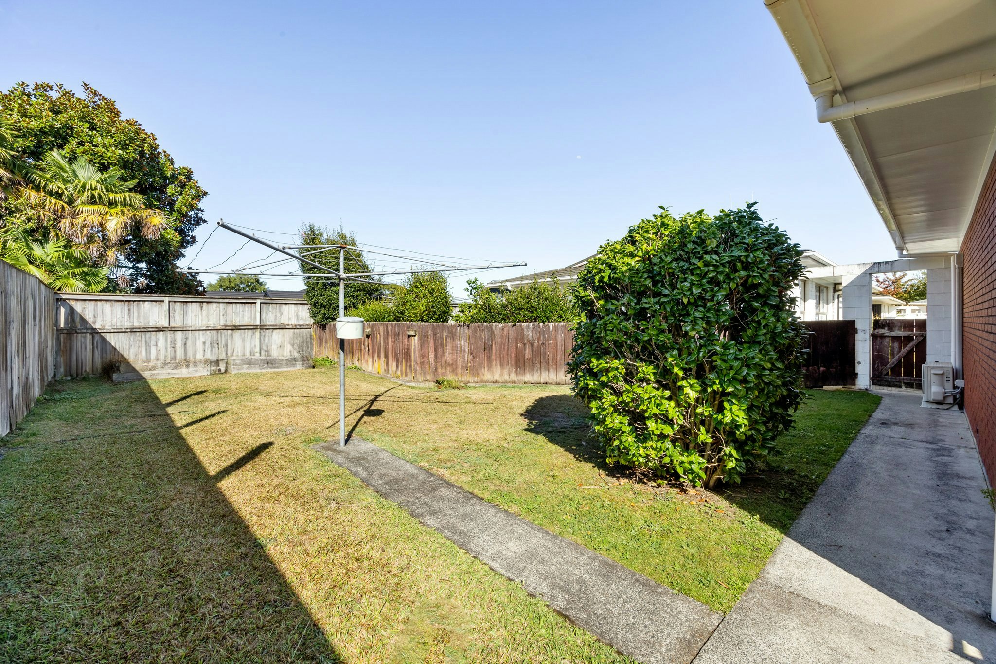 backyard