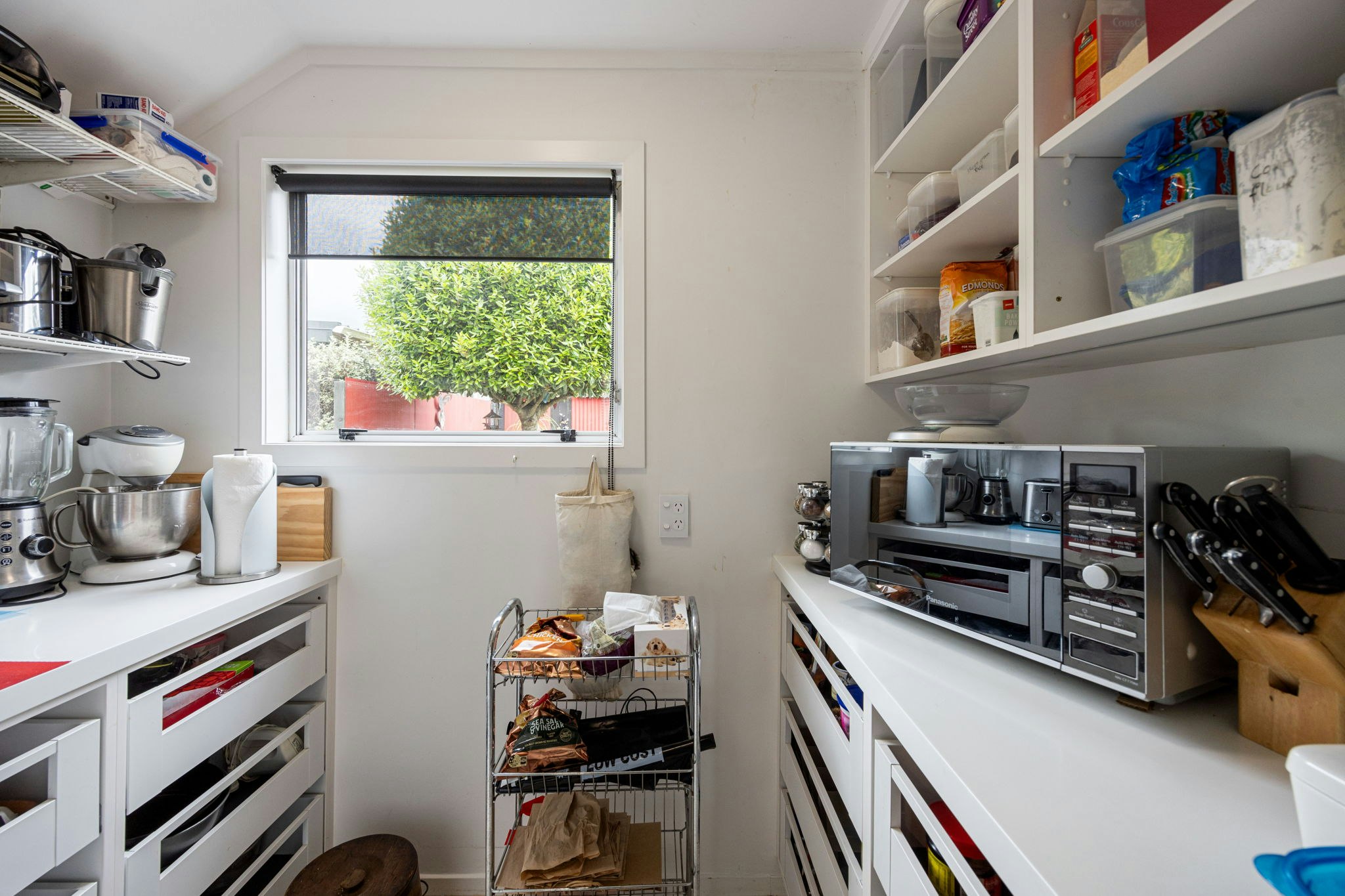 shelf
