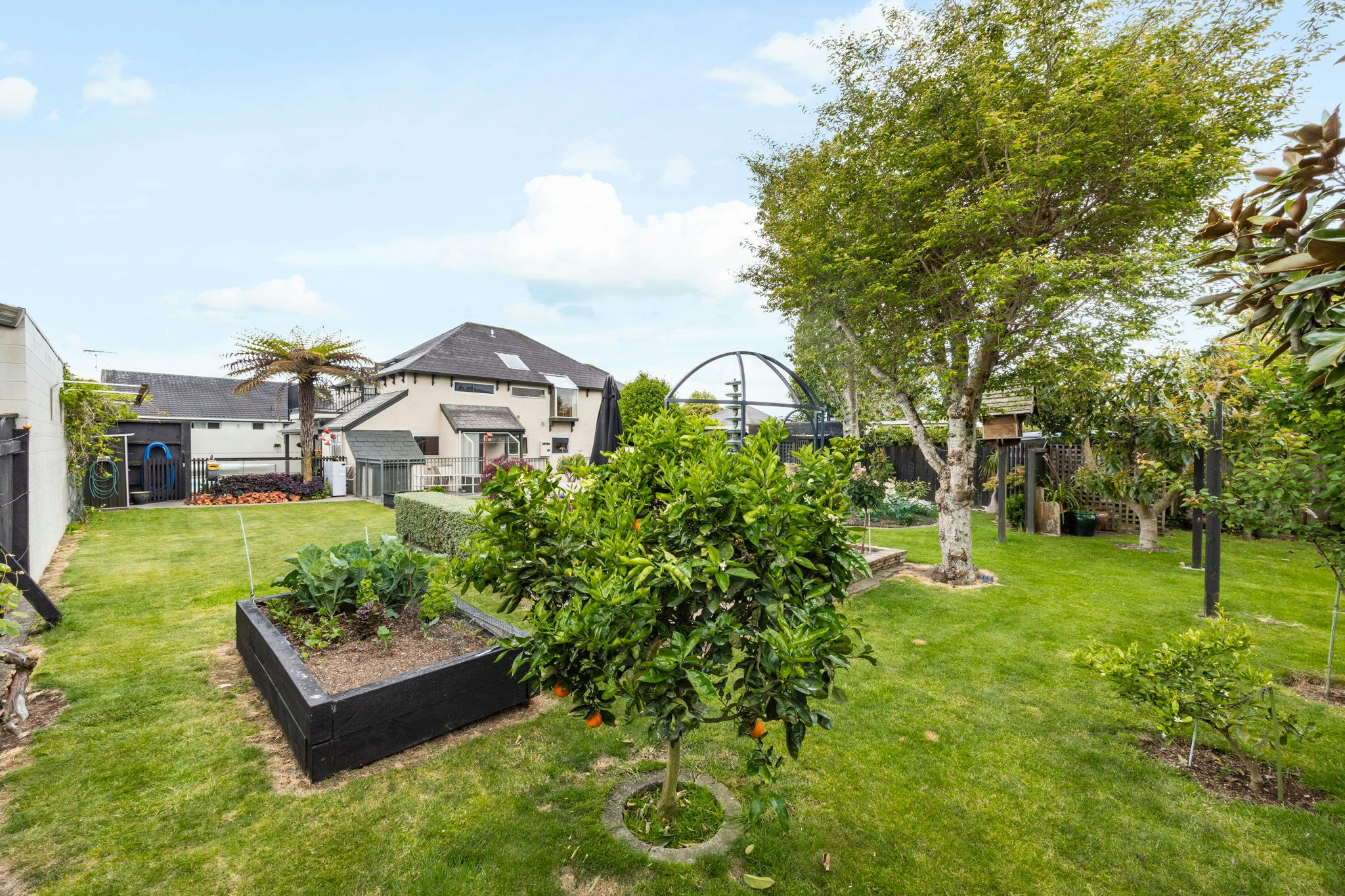 backyard