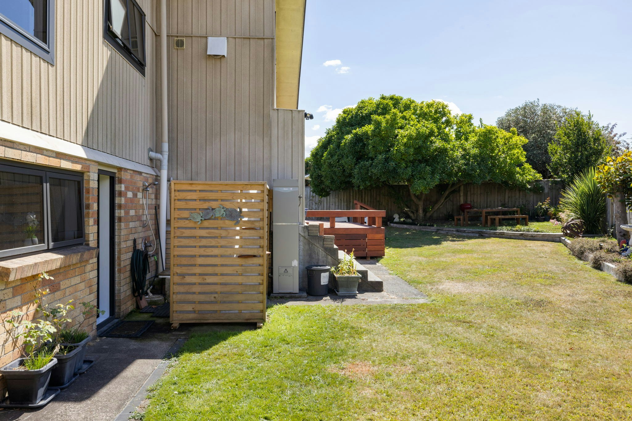 backyard