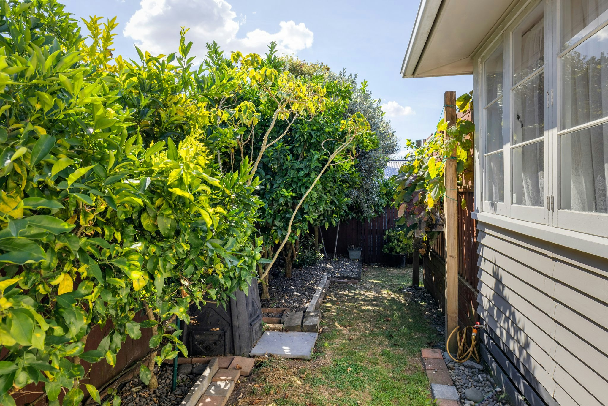 backyard
