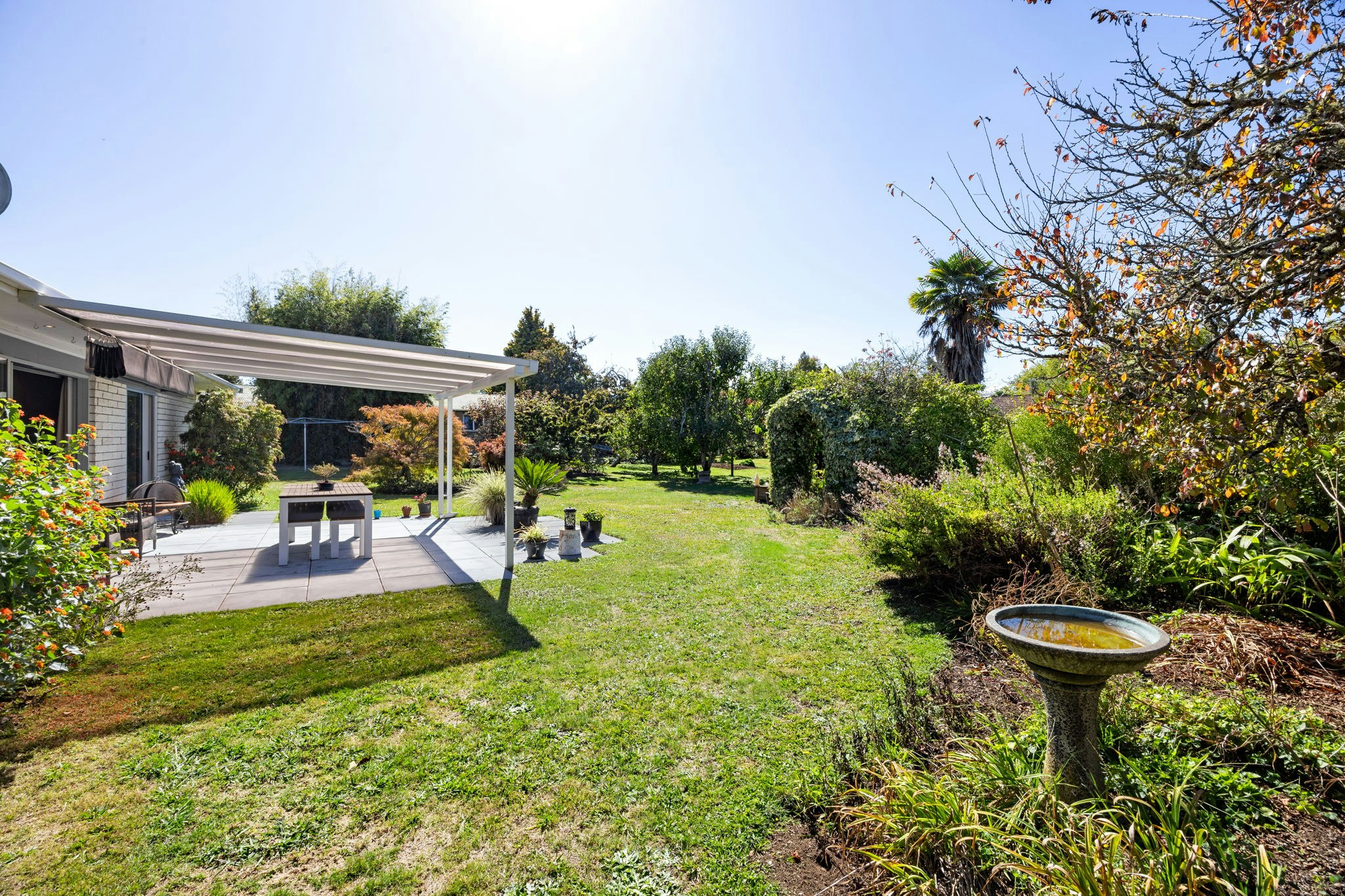 backyard