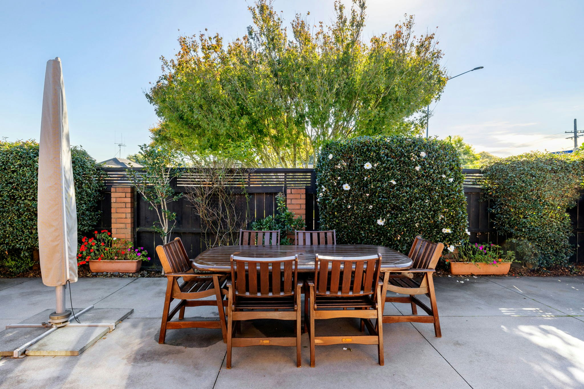 backyard