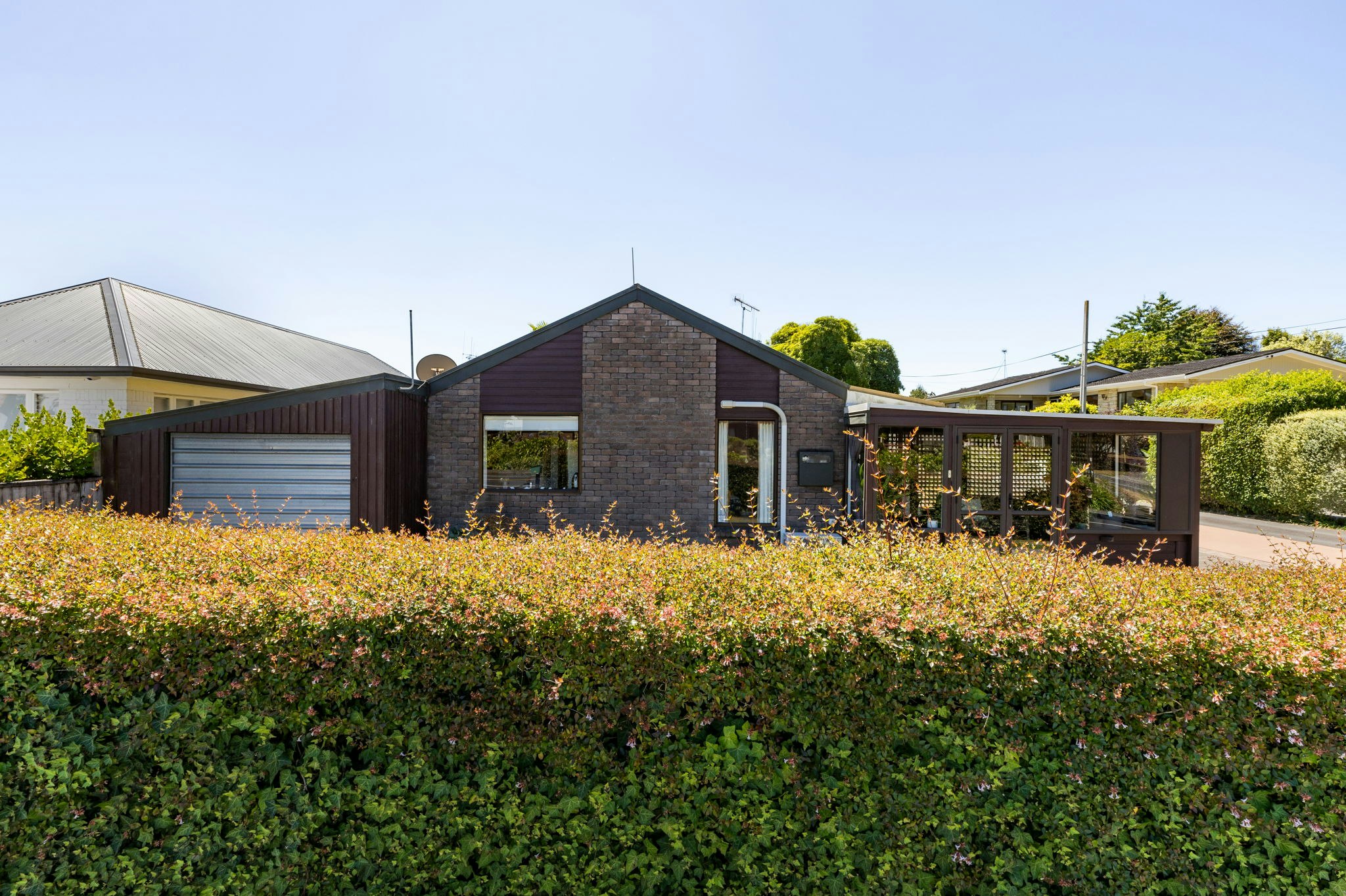 hedge