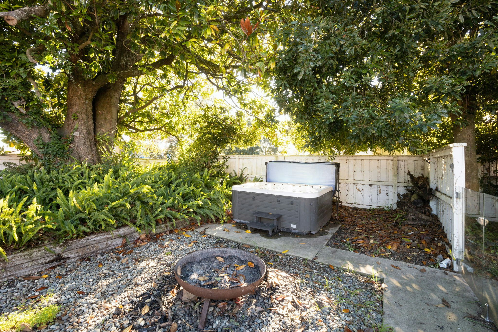 backyard