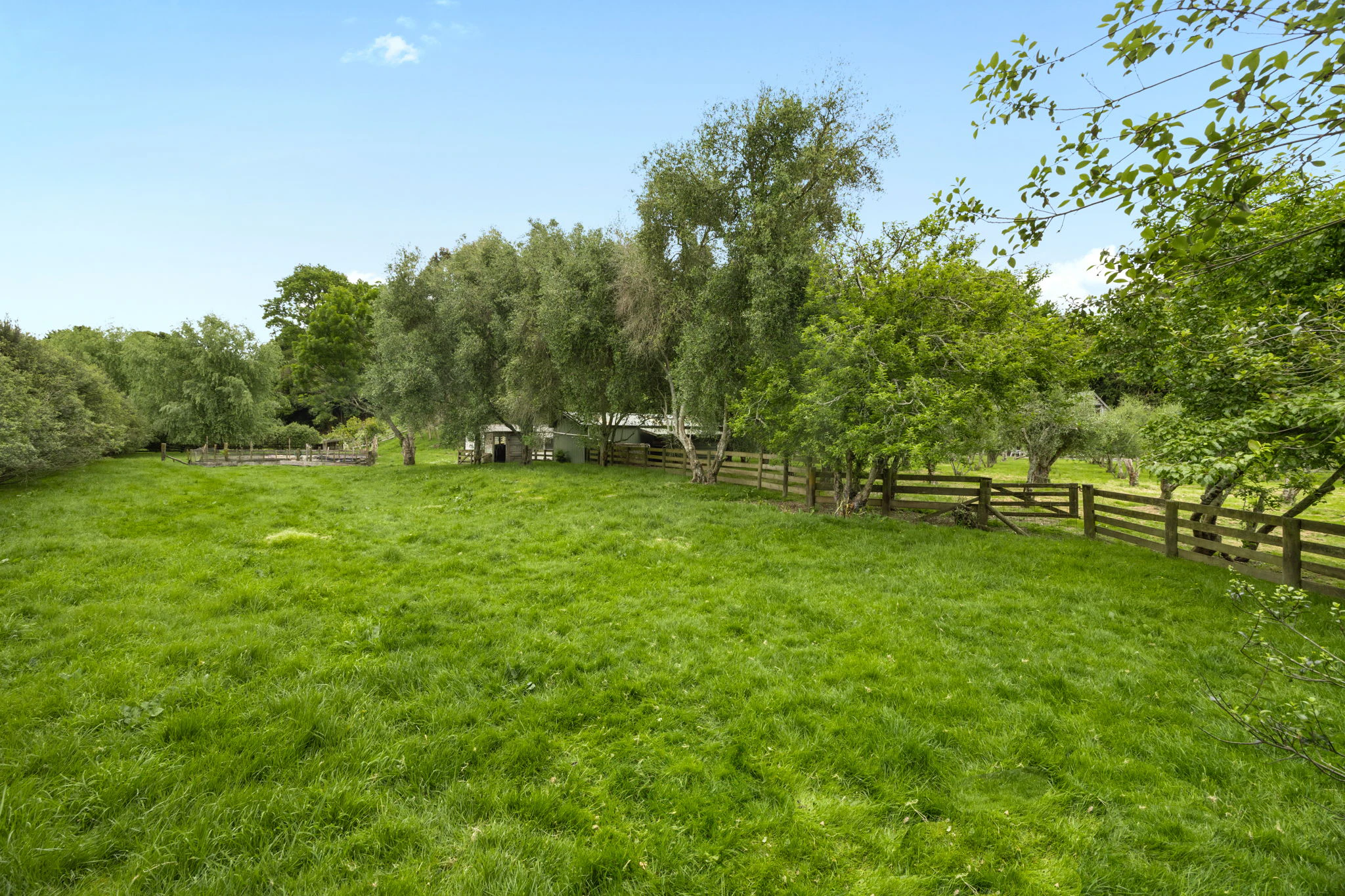 countryside