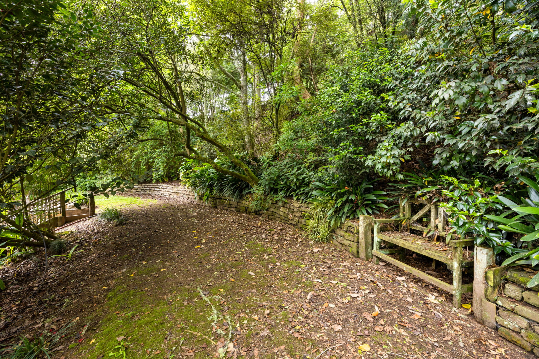 vegetation