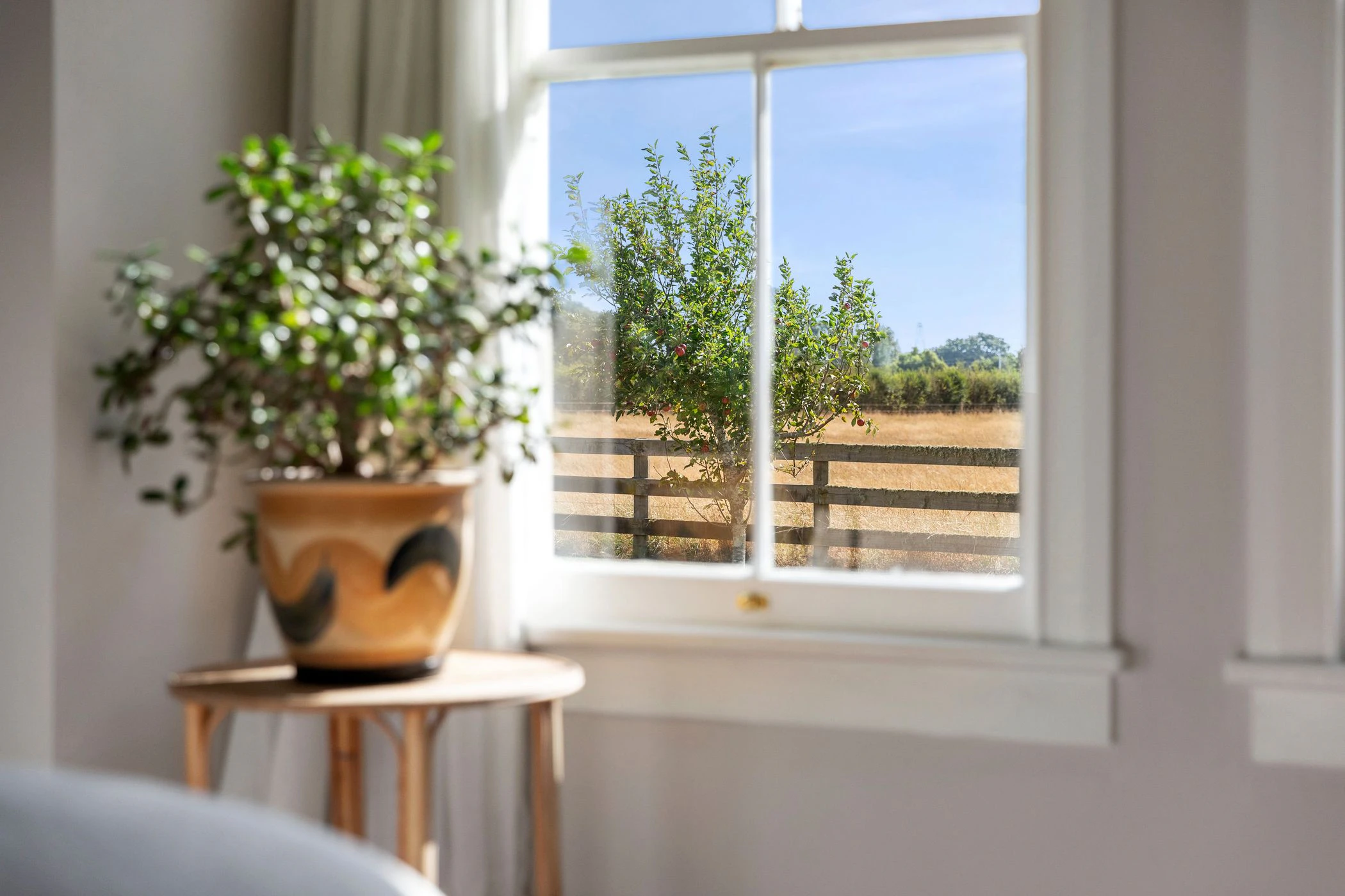 window