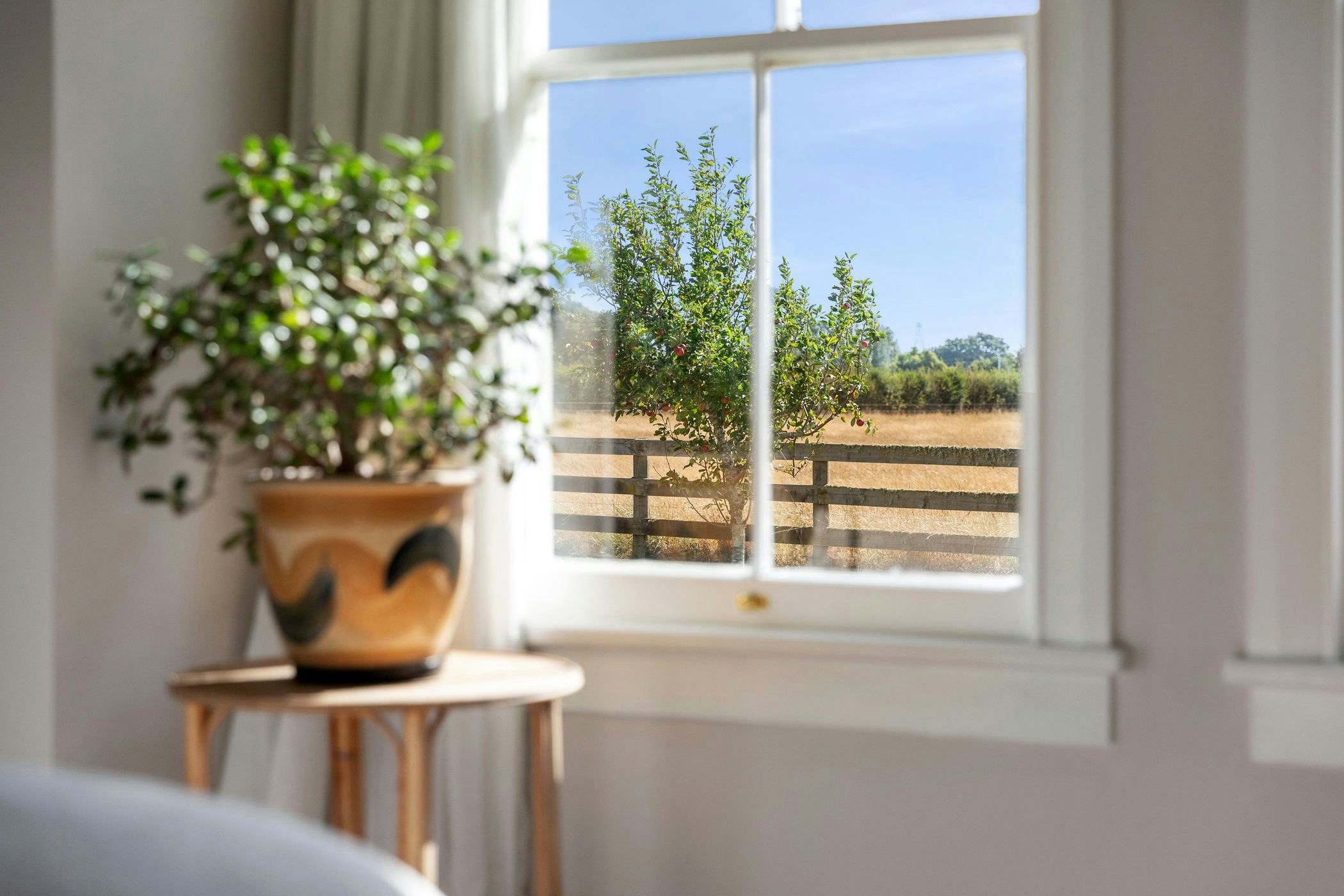 window
