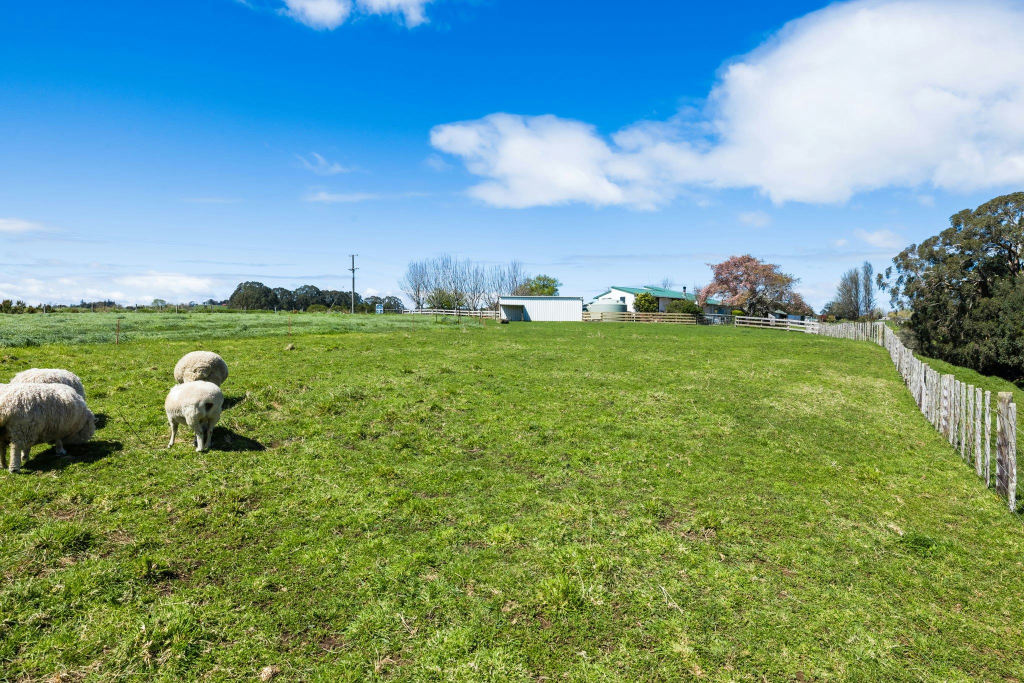 countryside