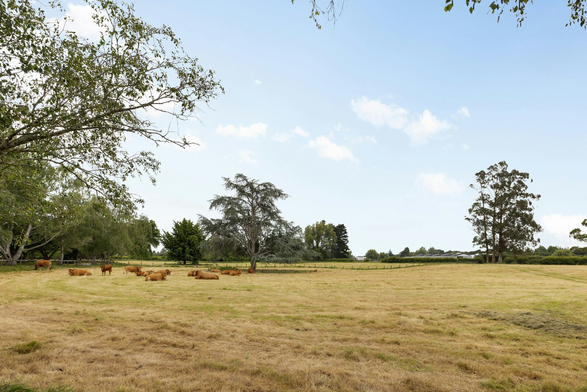 countryside
