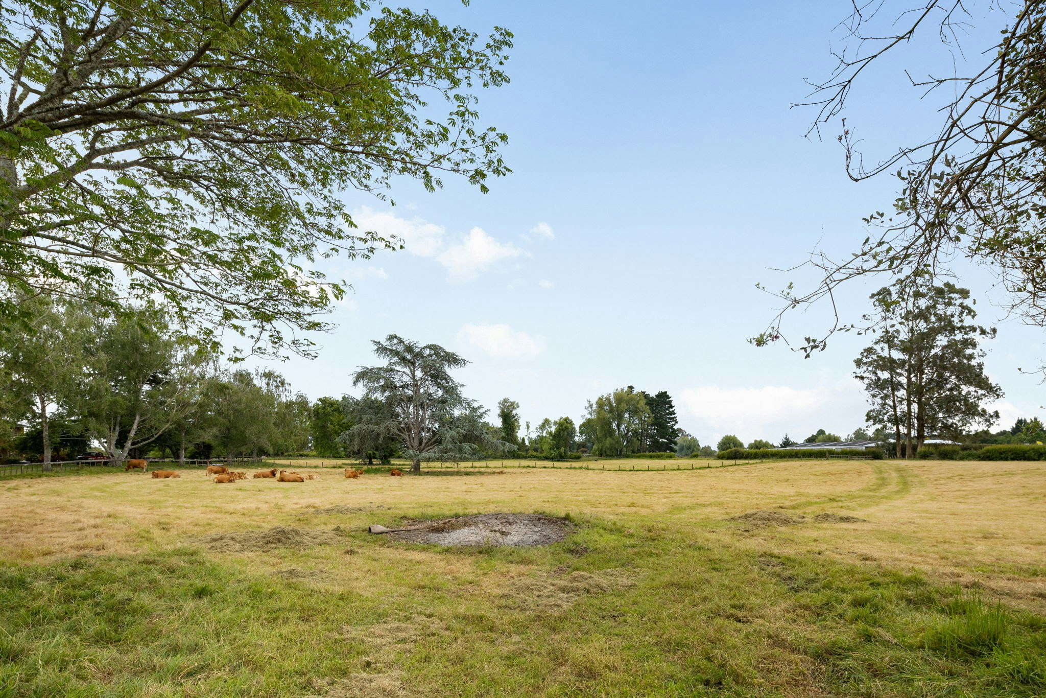 field