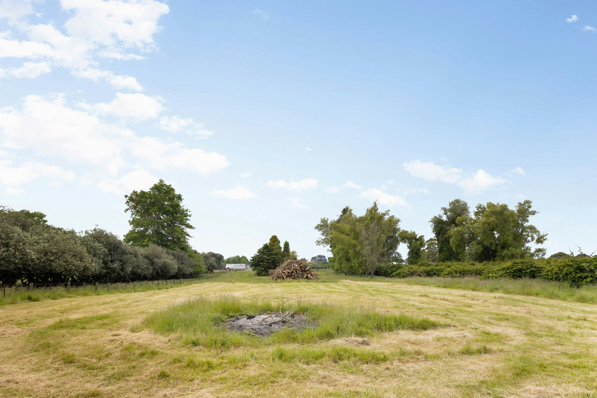 field
