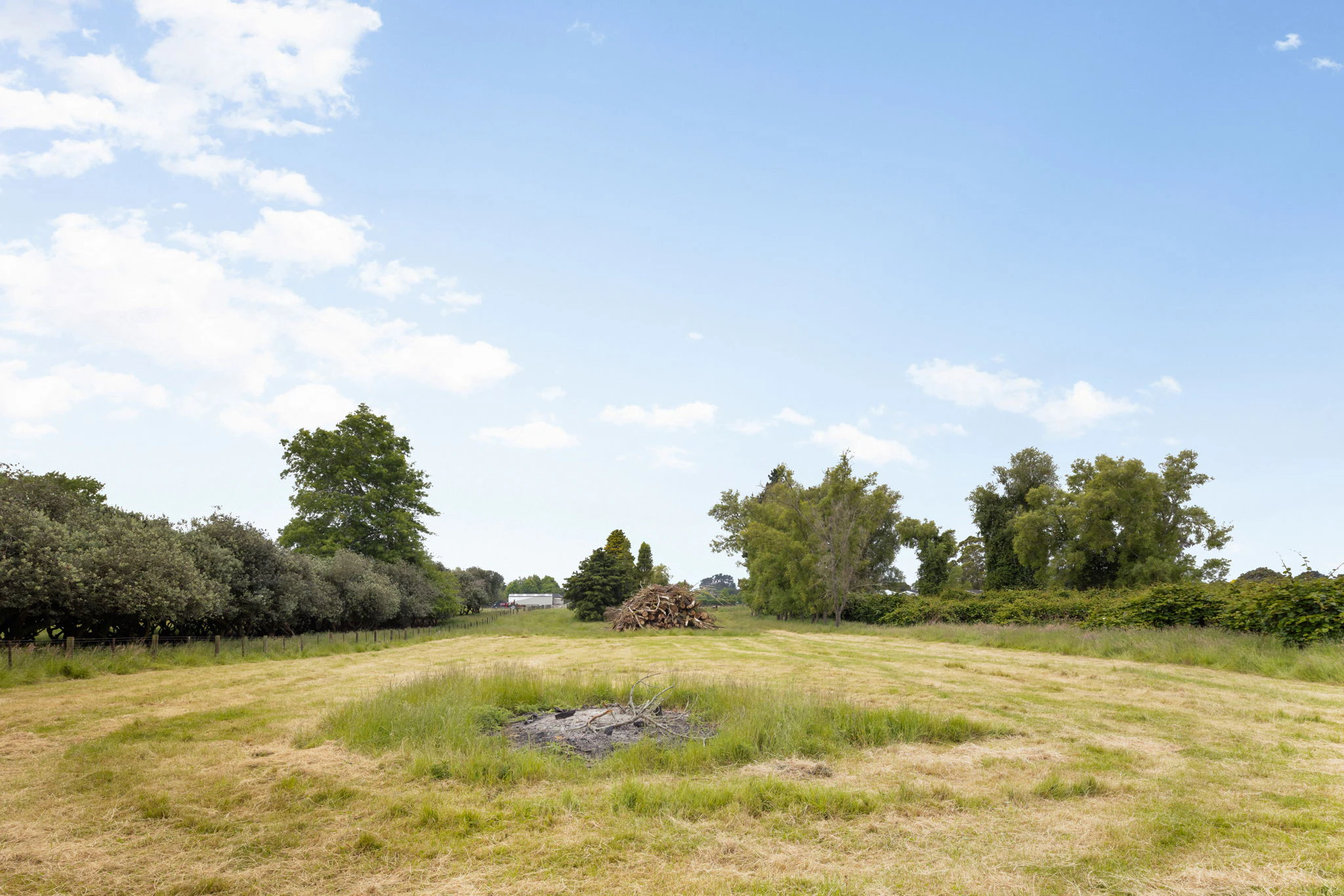 field