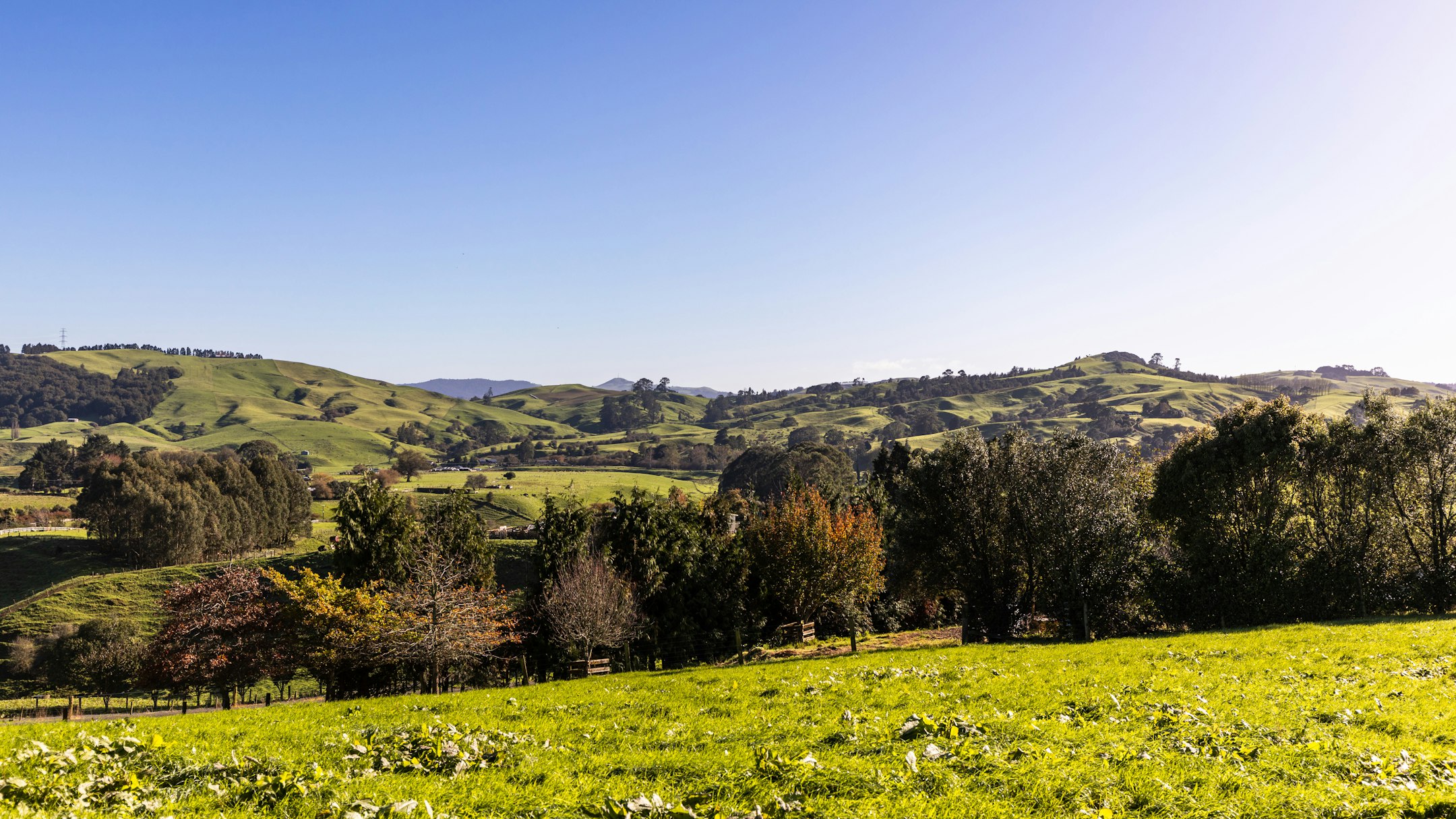 countryside