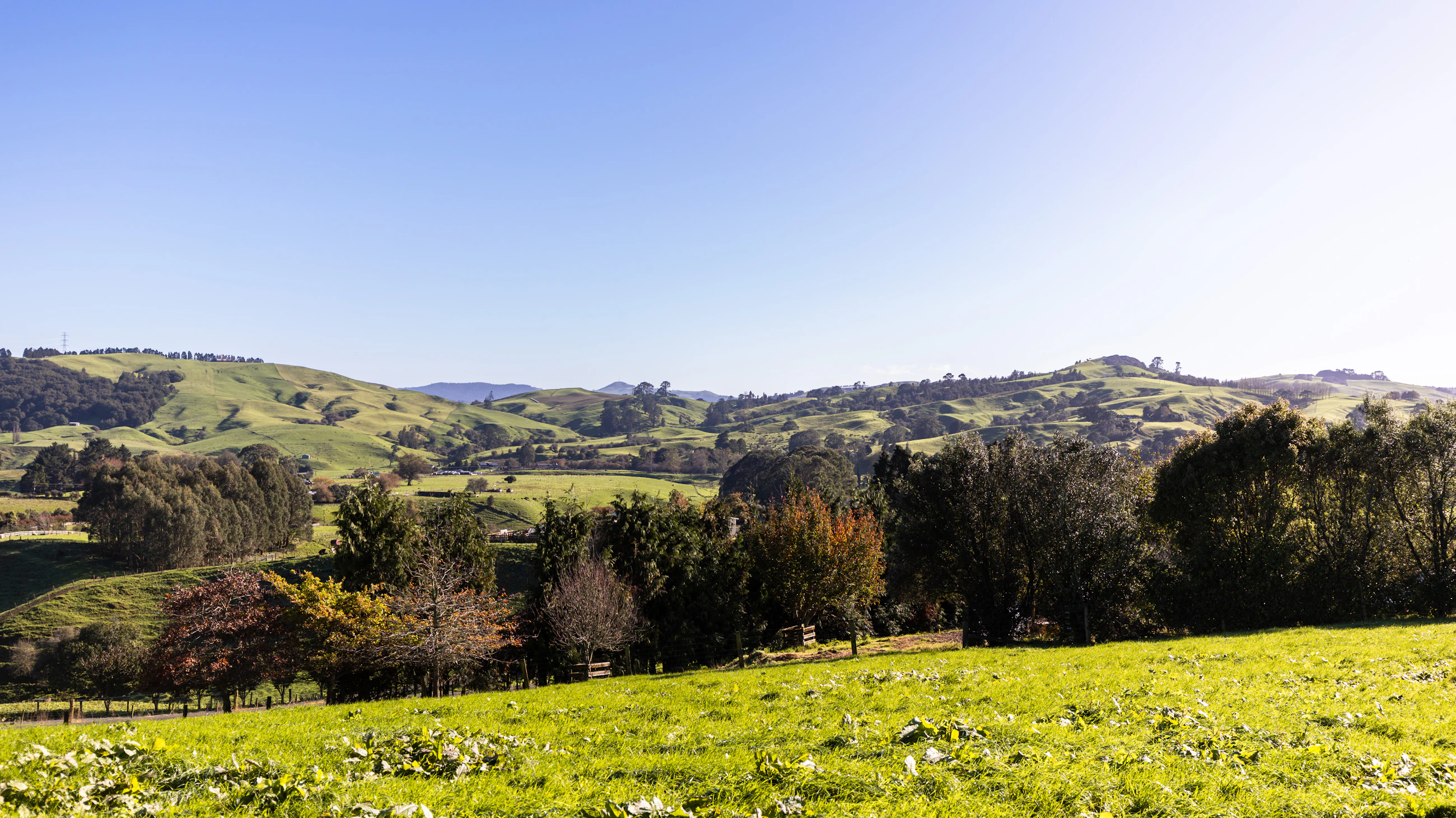 countryside