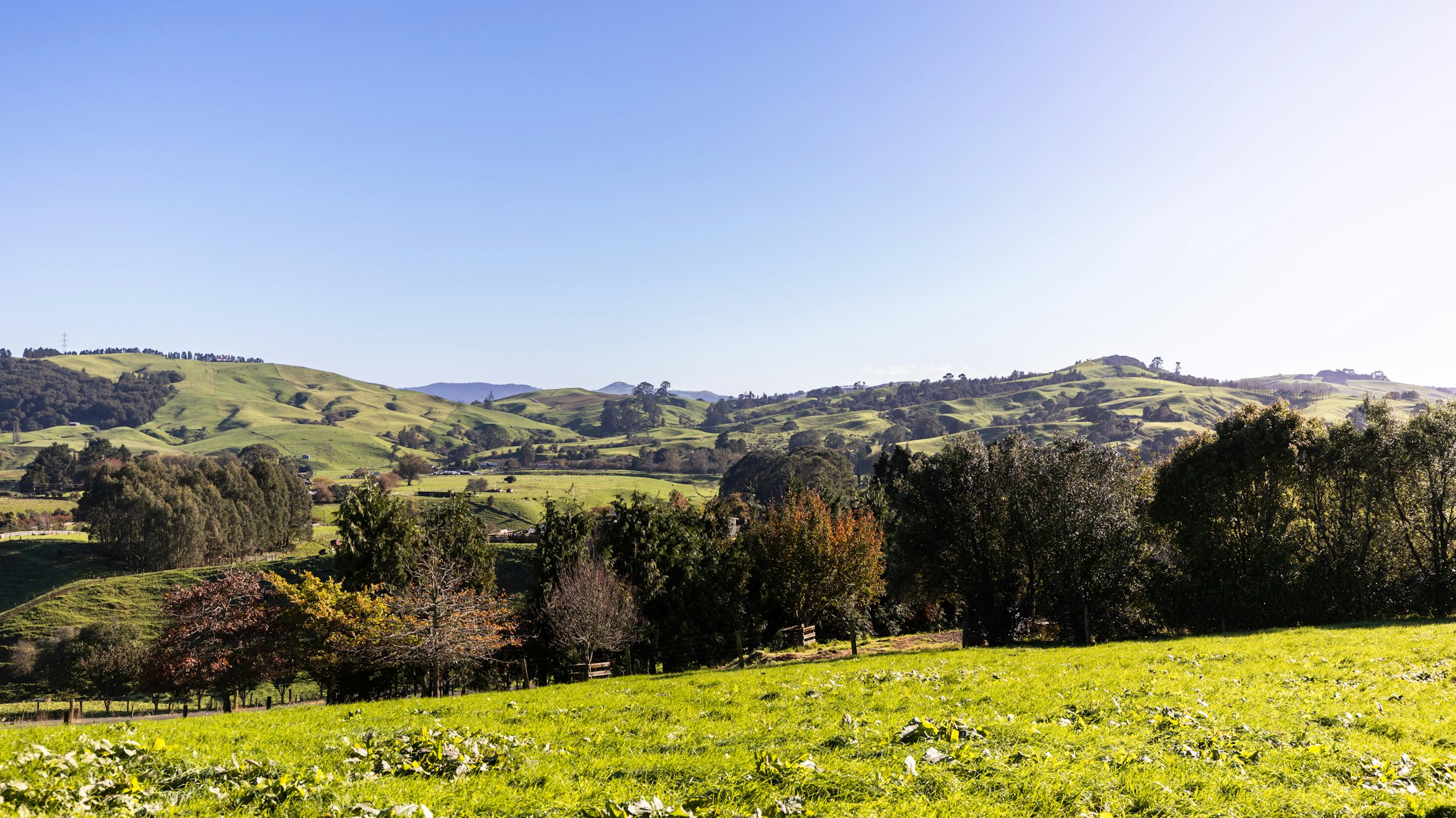 countryside