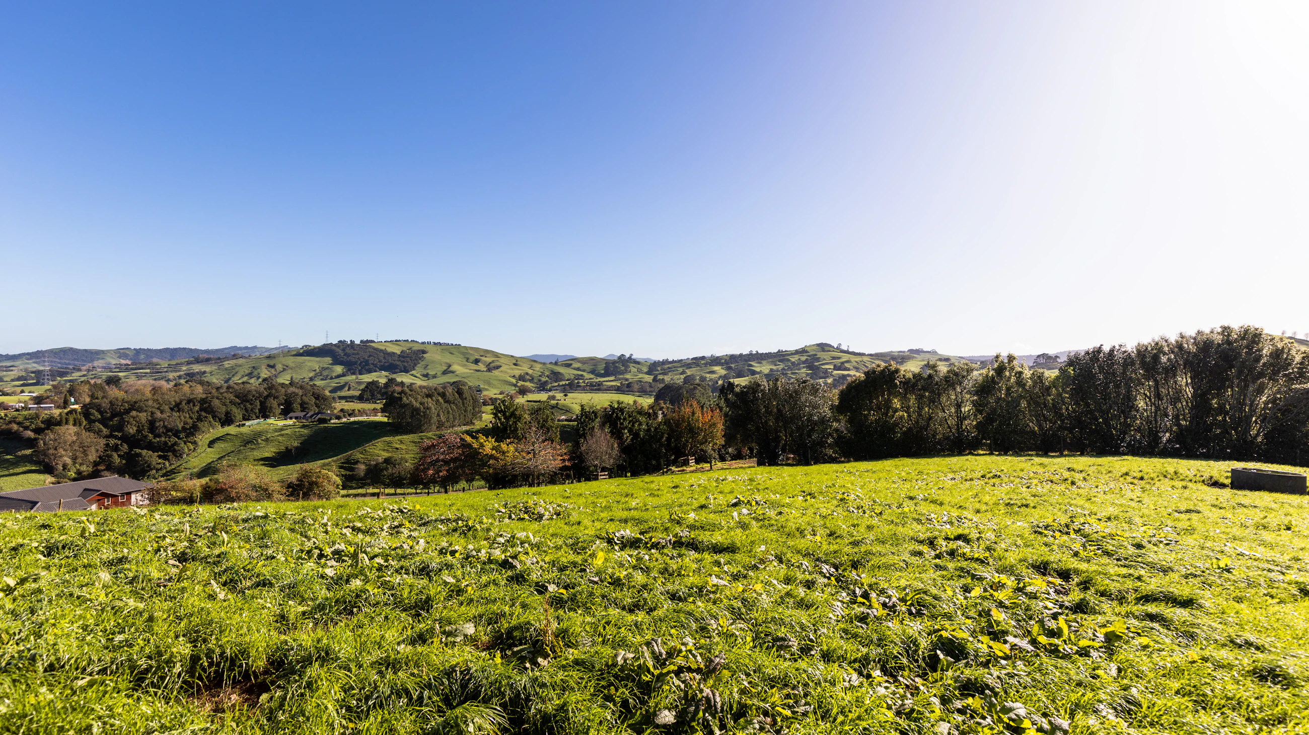 countryside