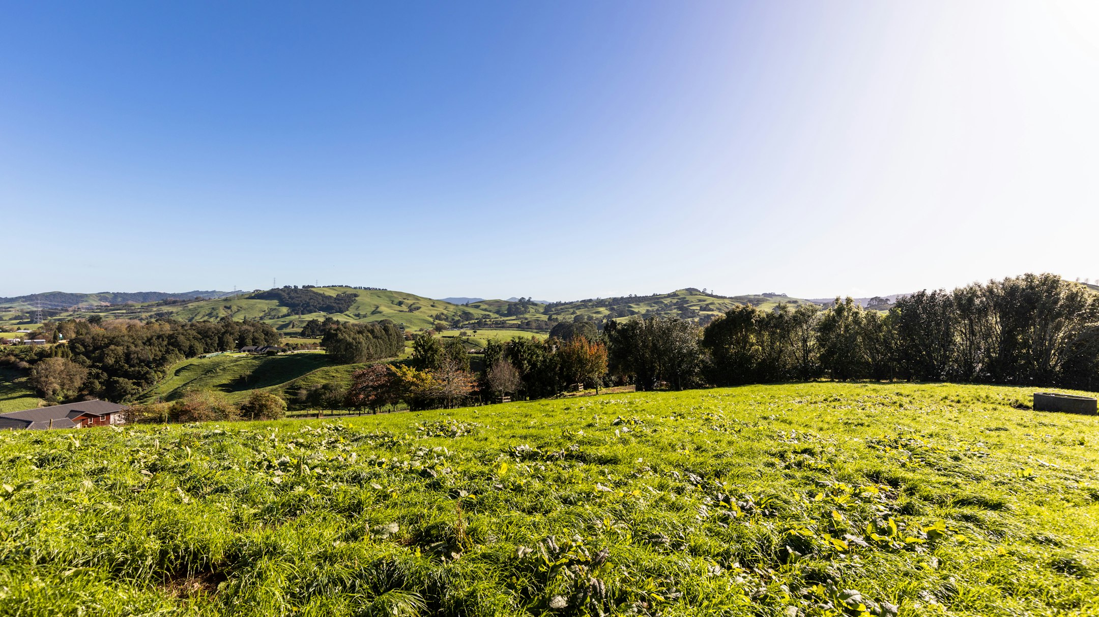 countryside