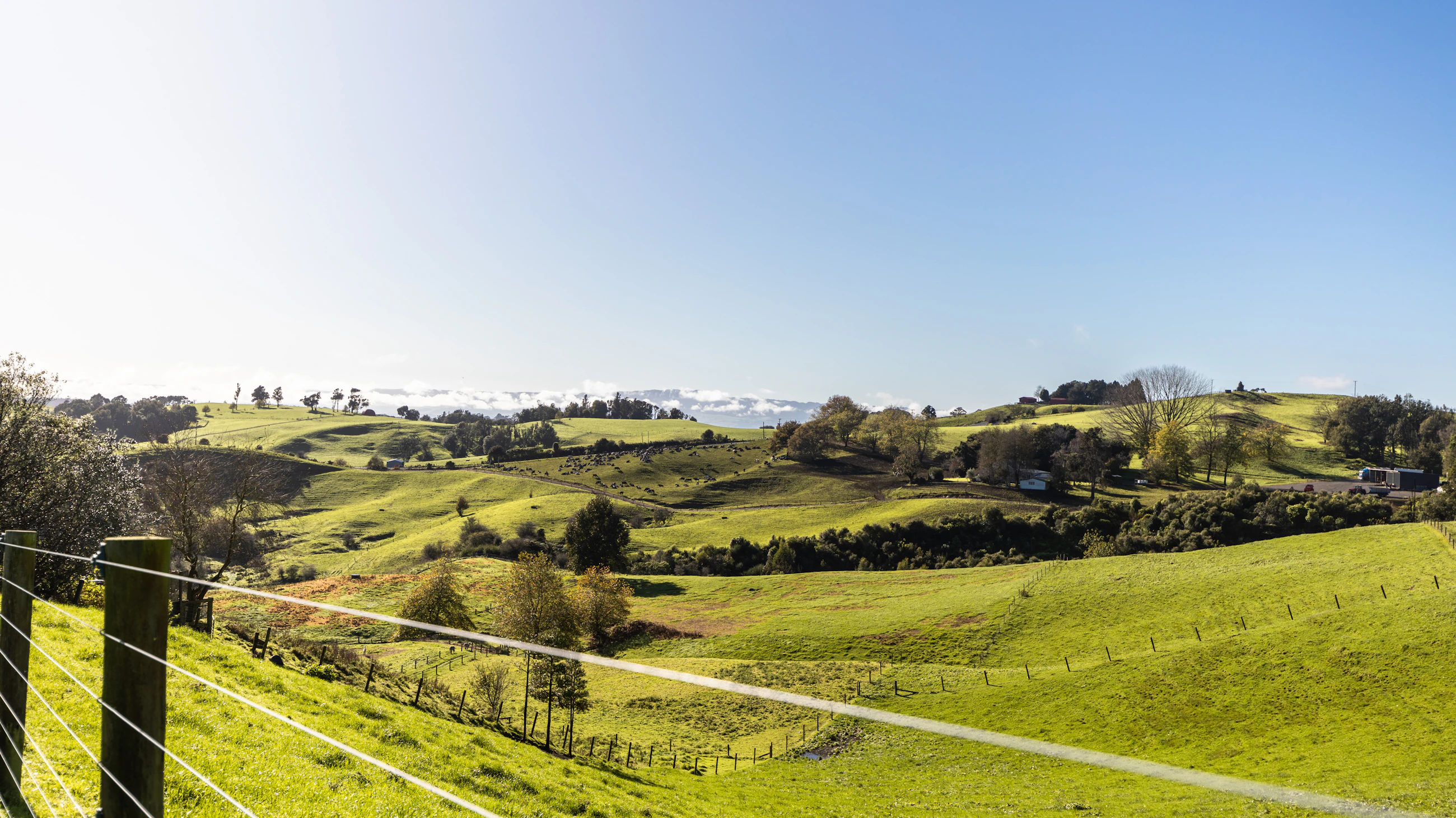 countryside
