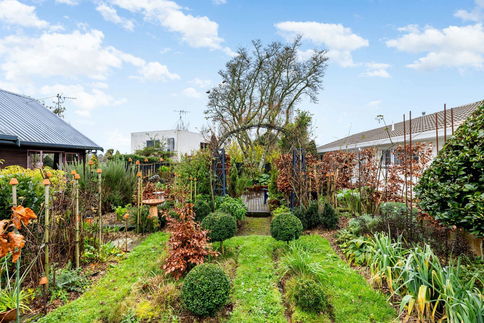 garden