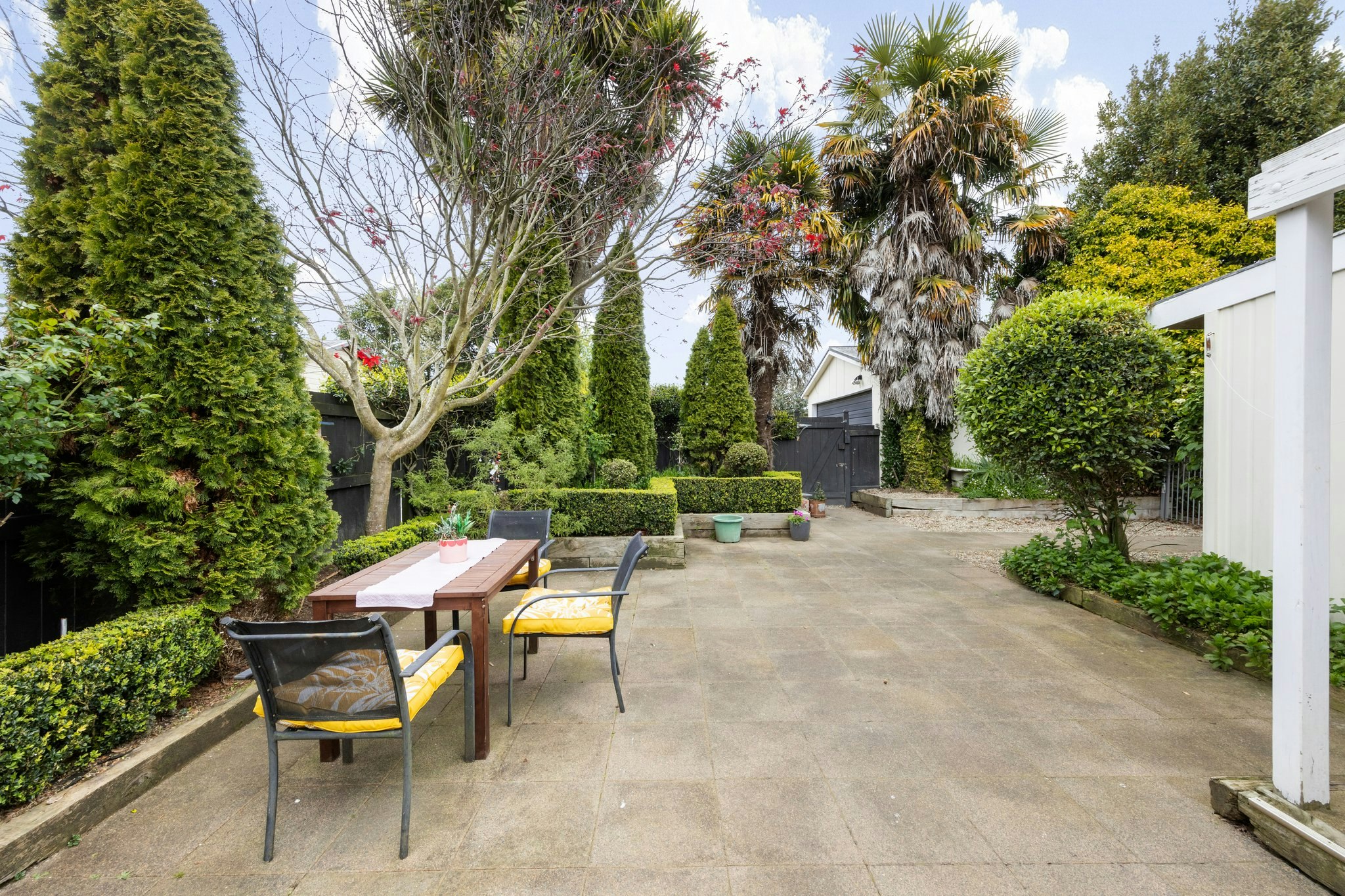 backyard