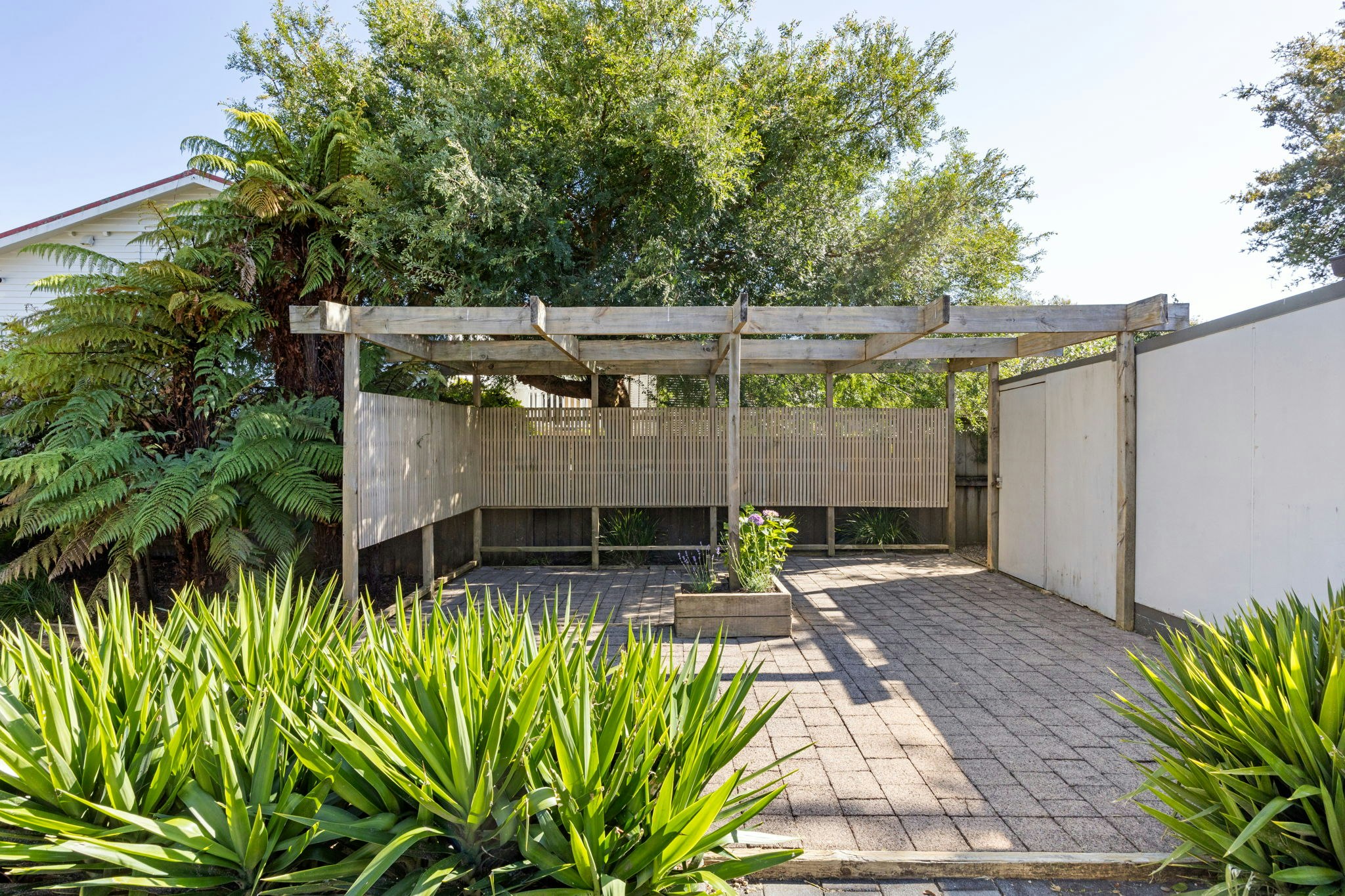 backyard