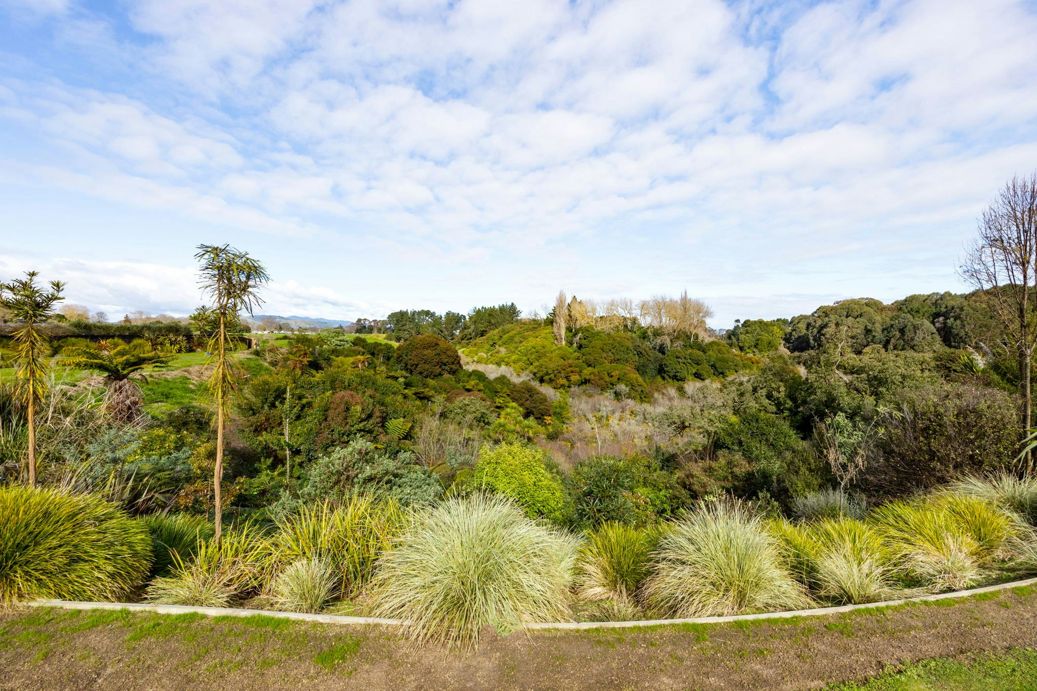 vegetation