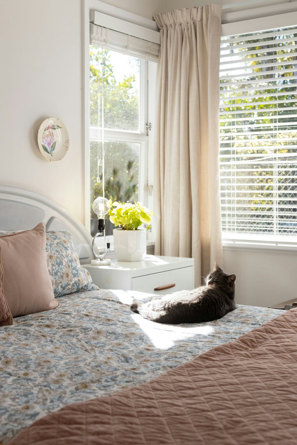 bed