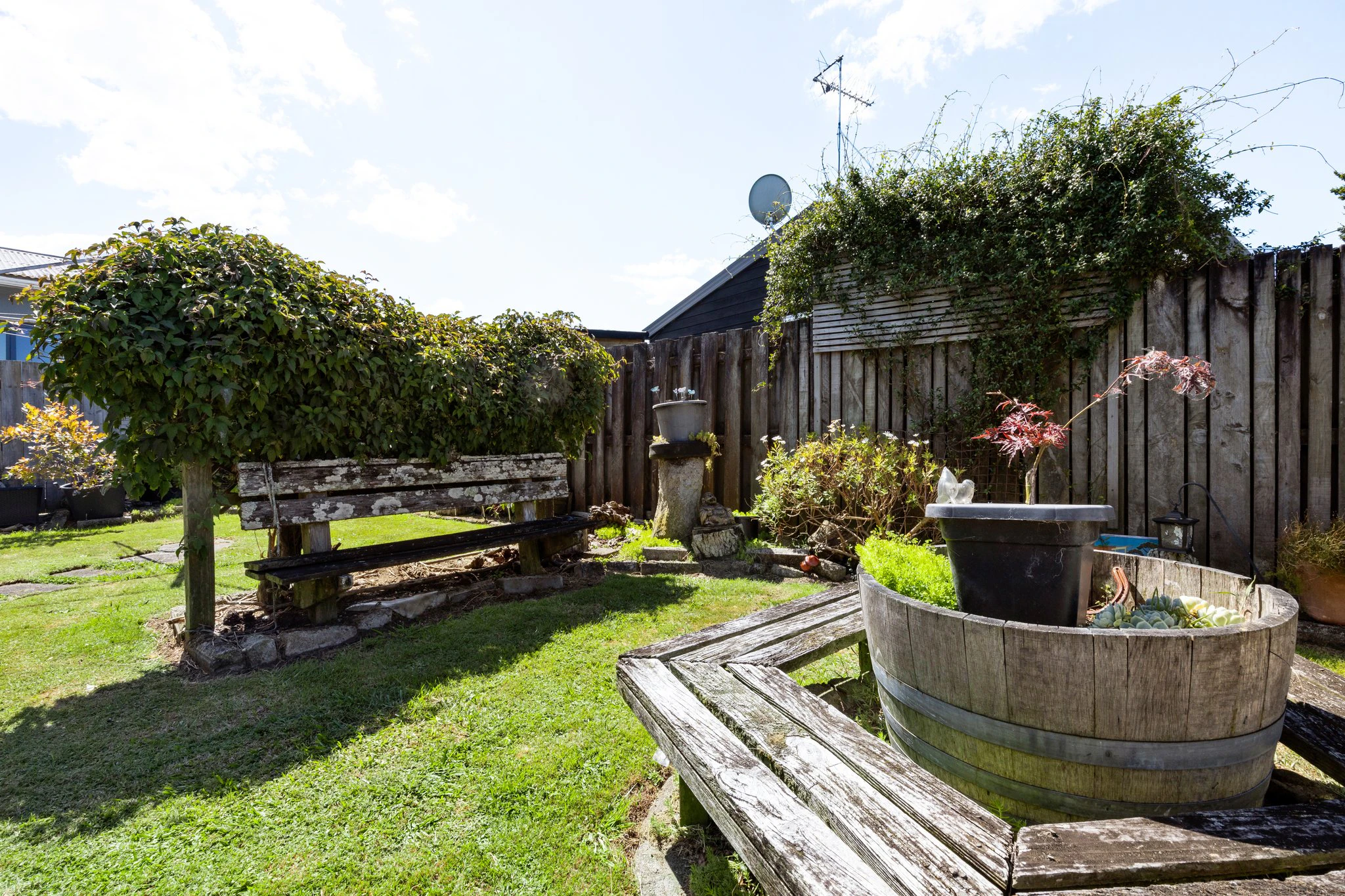 backyard