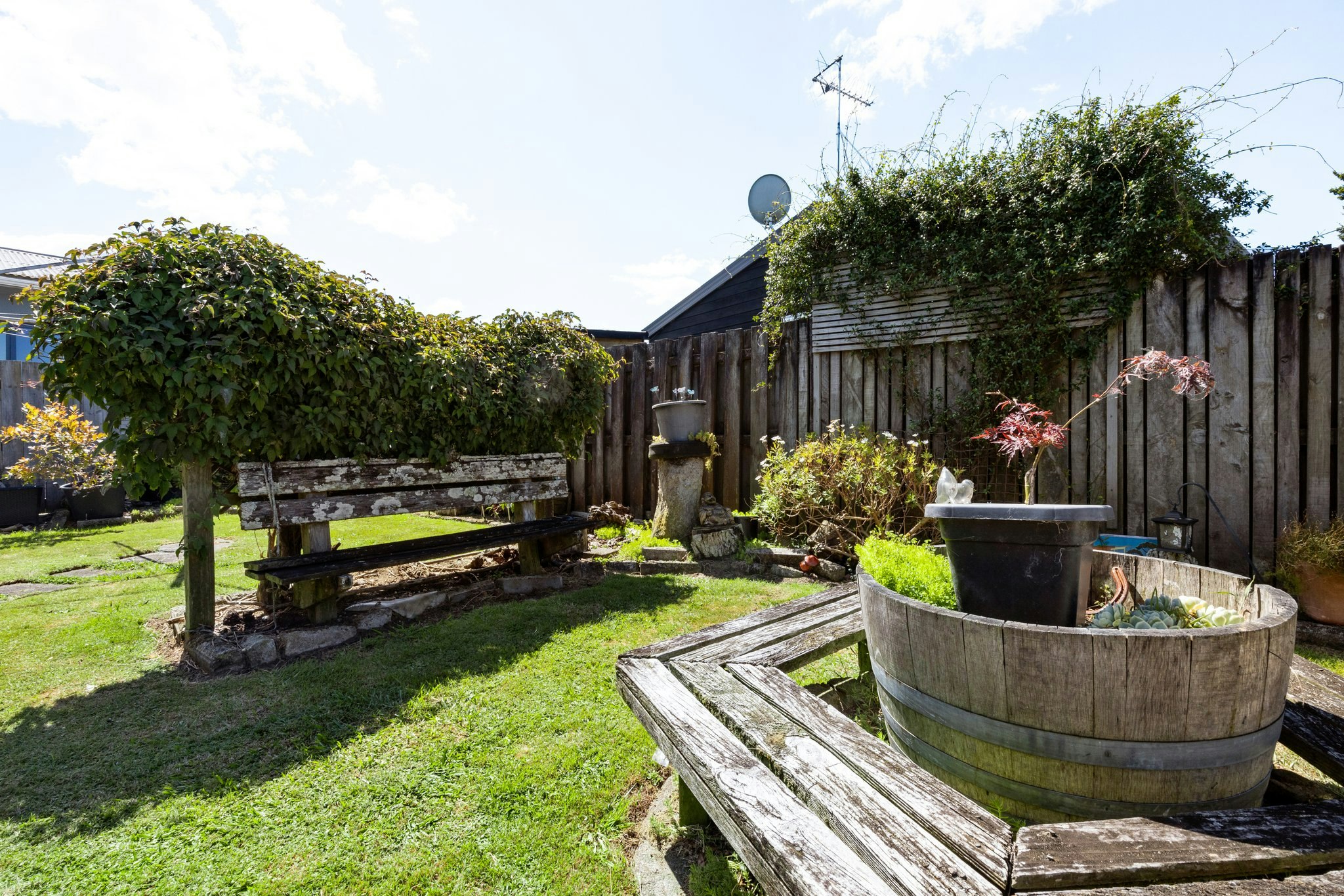 backyard