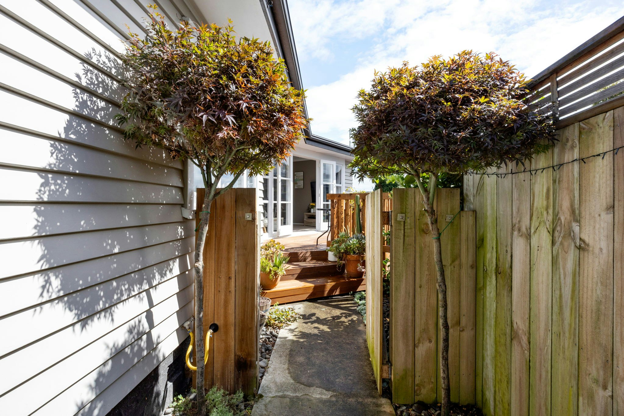 backyard