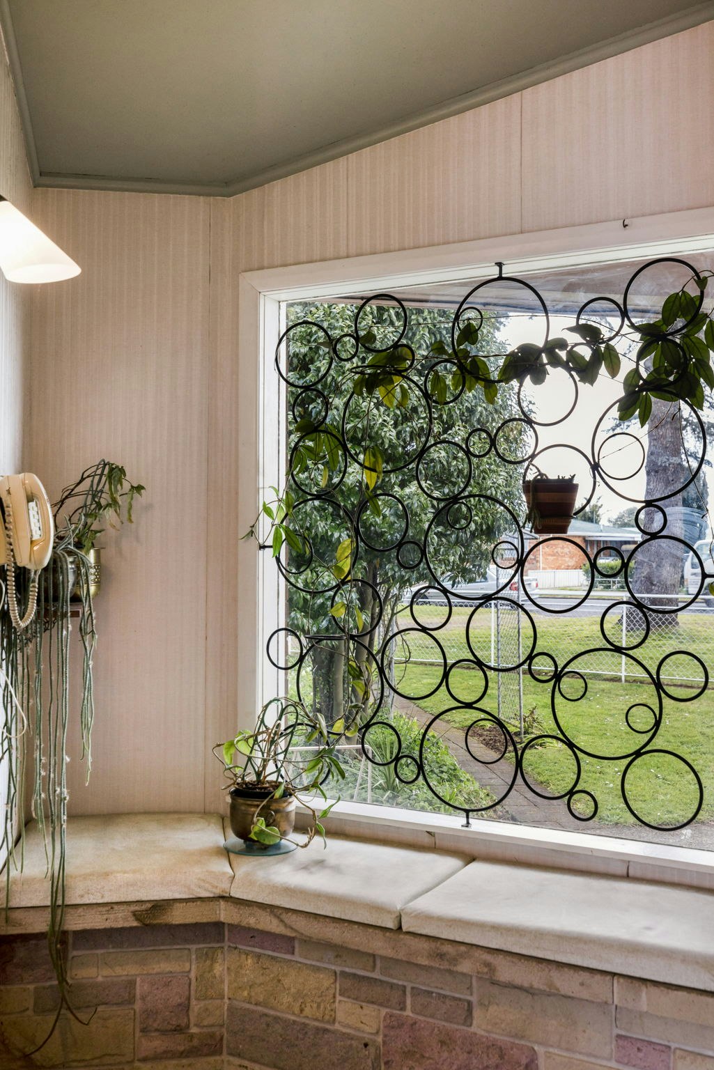 window