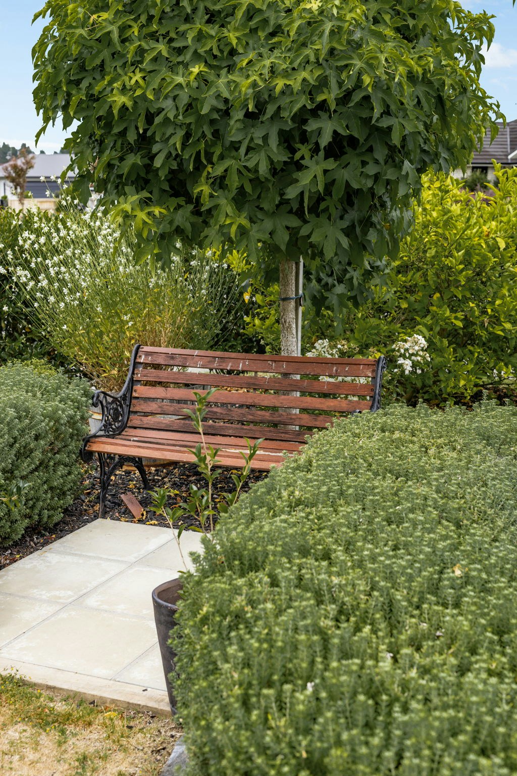 bench