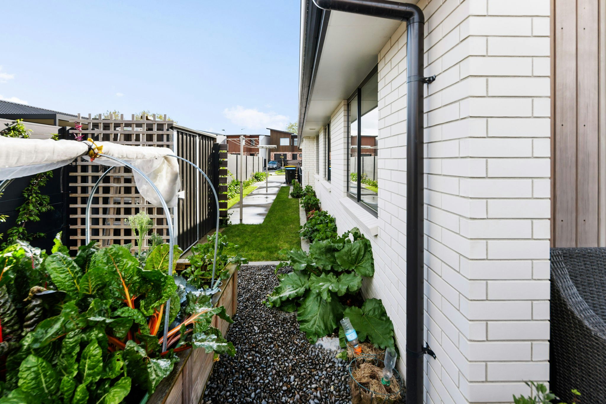 garden