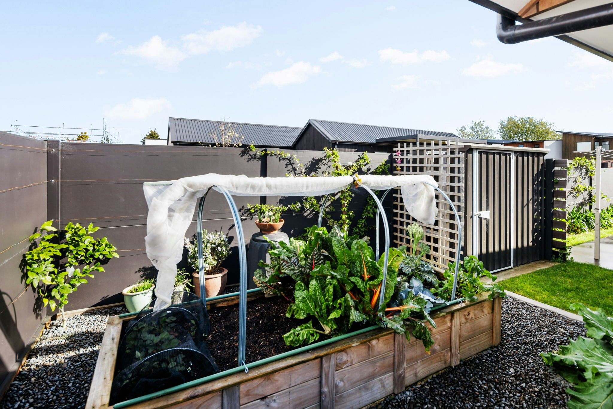 garden