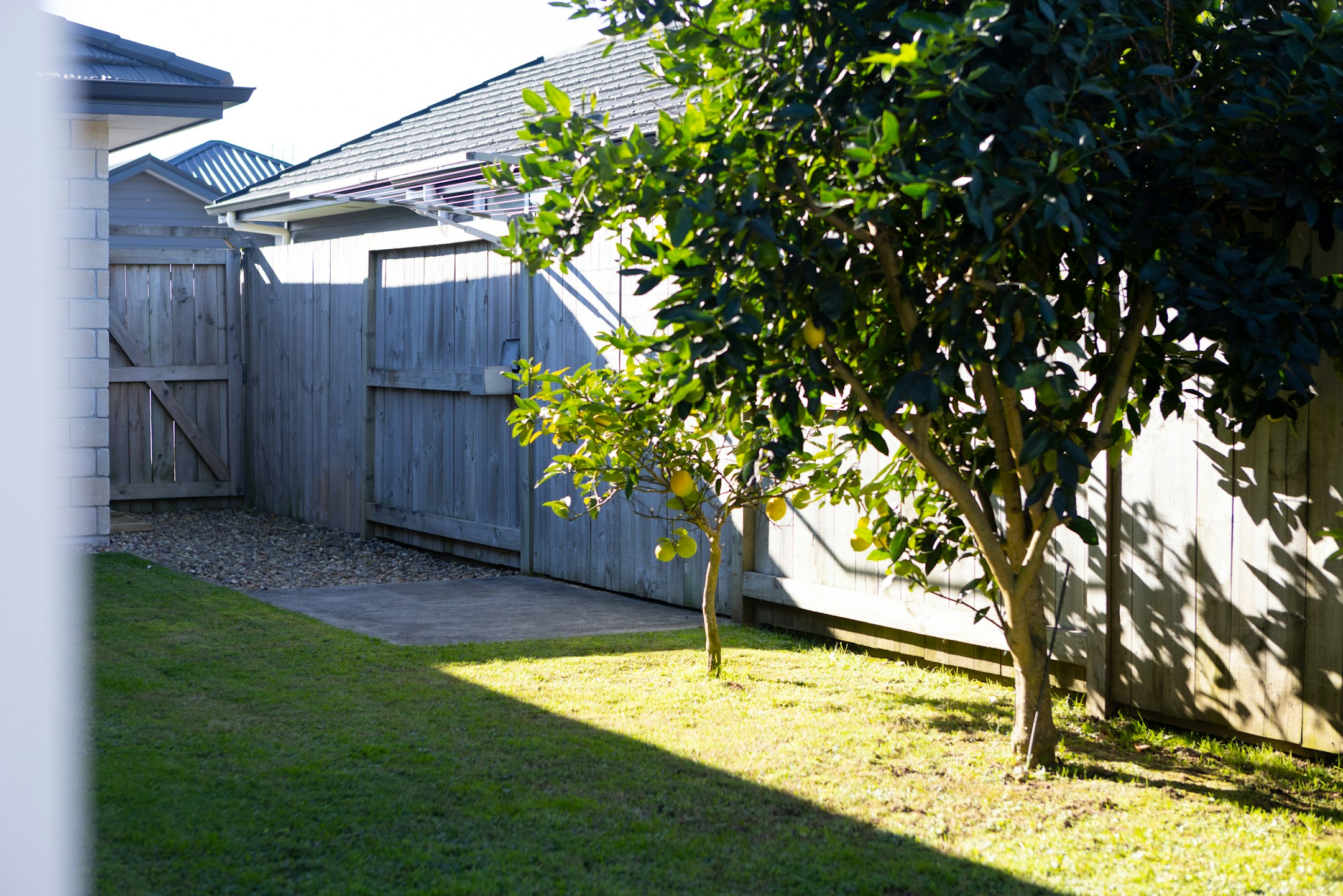backyard