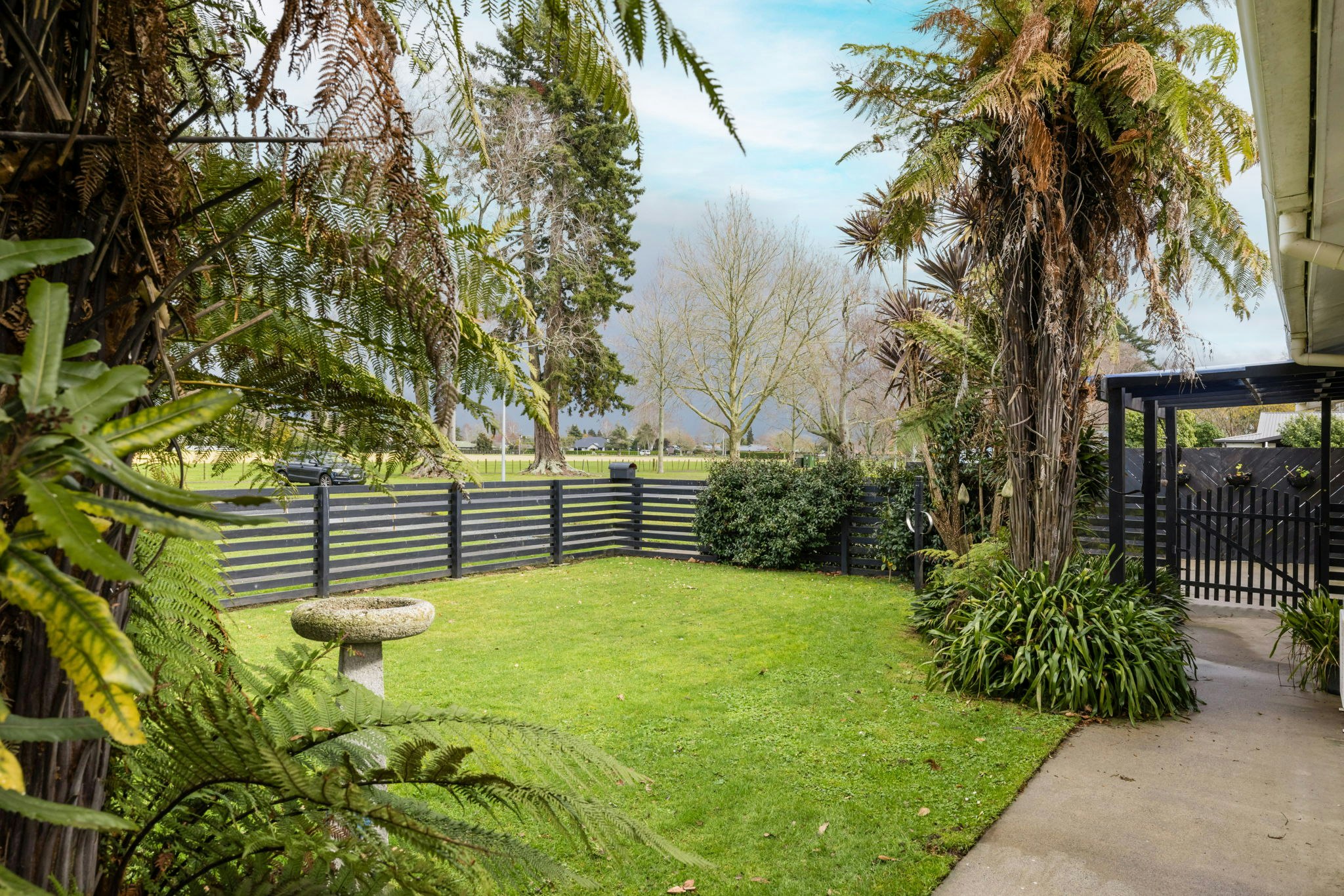 backyard