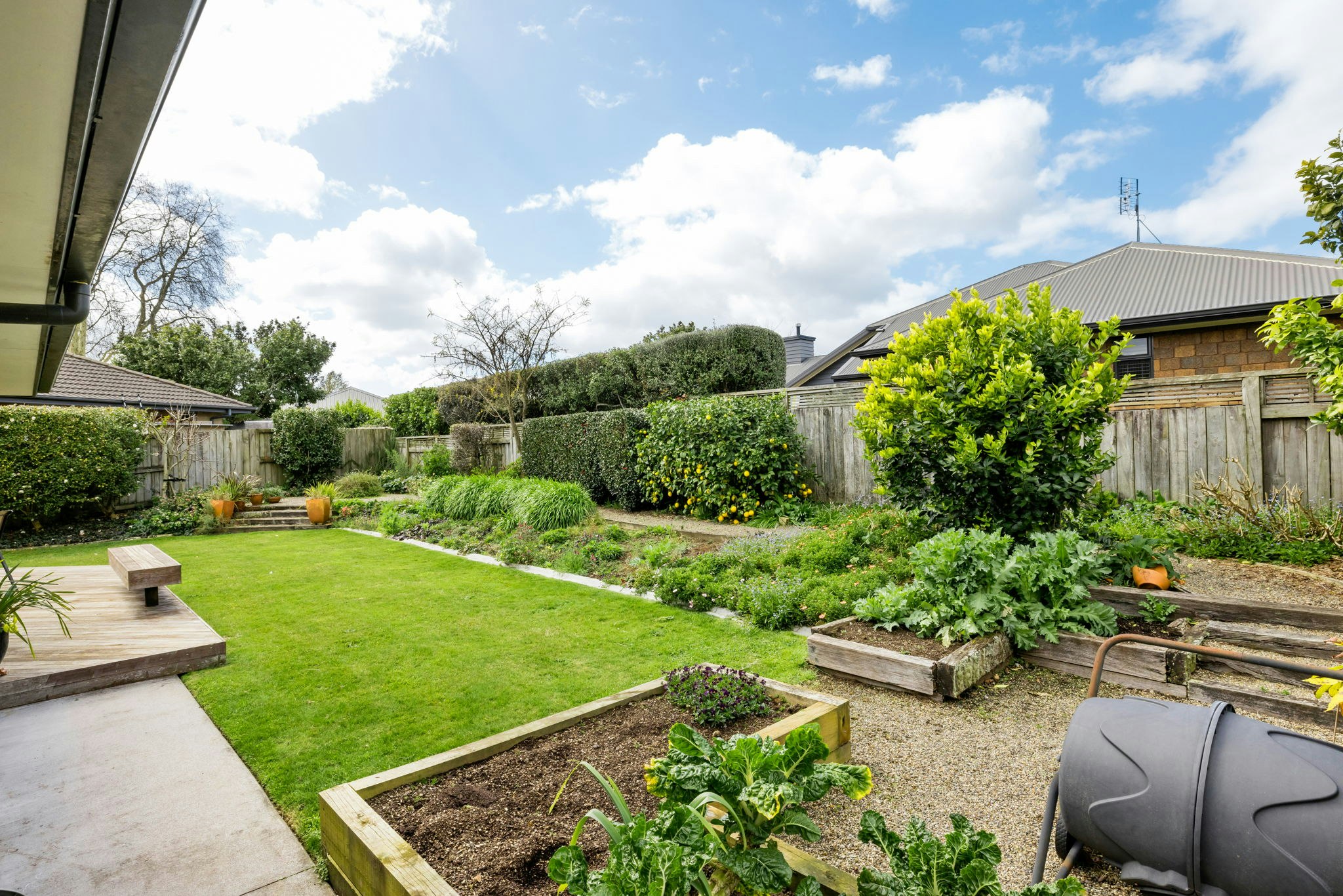 backyard