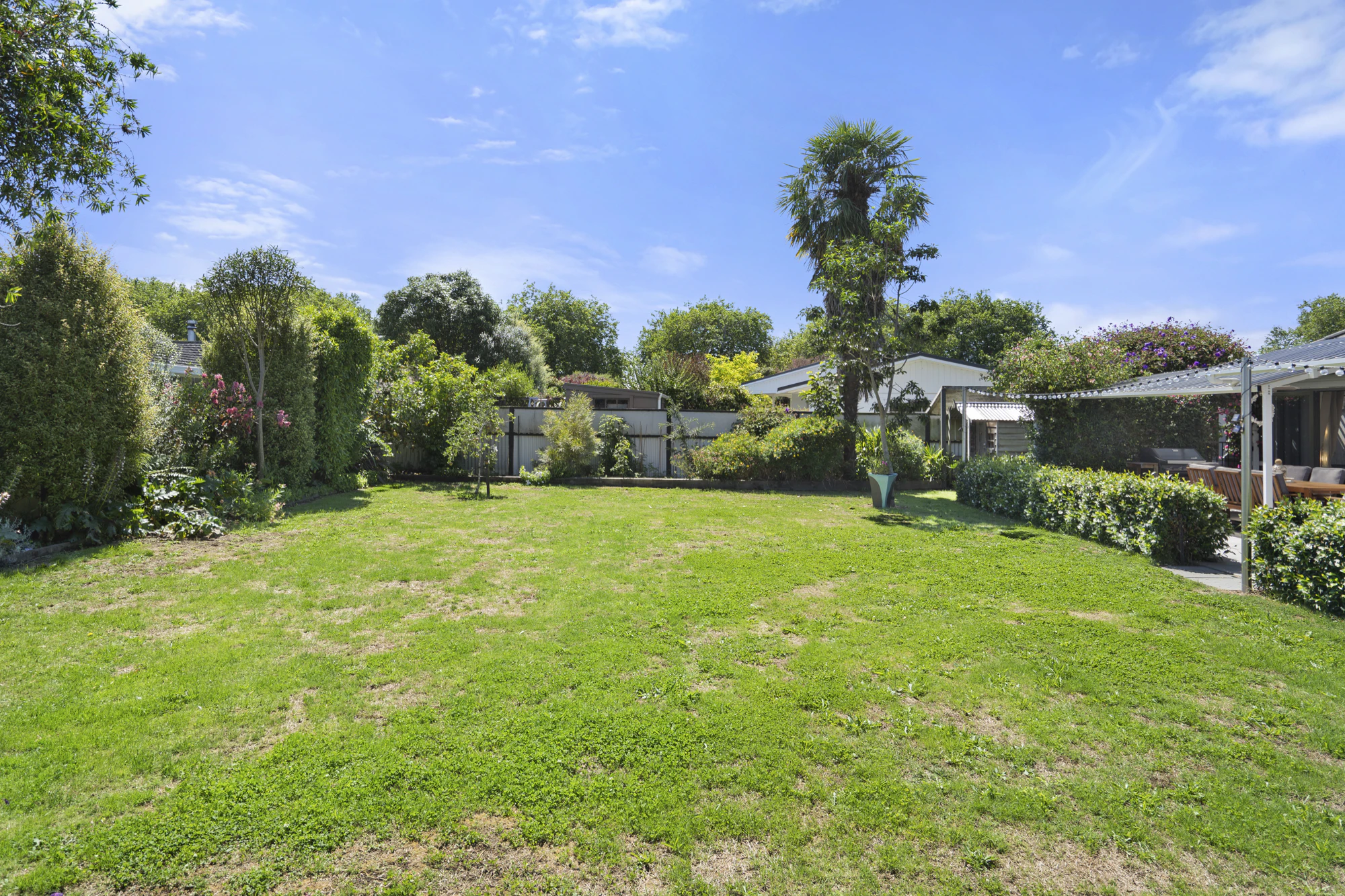 backyard